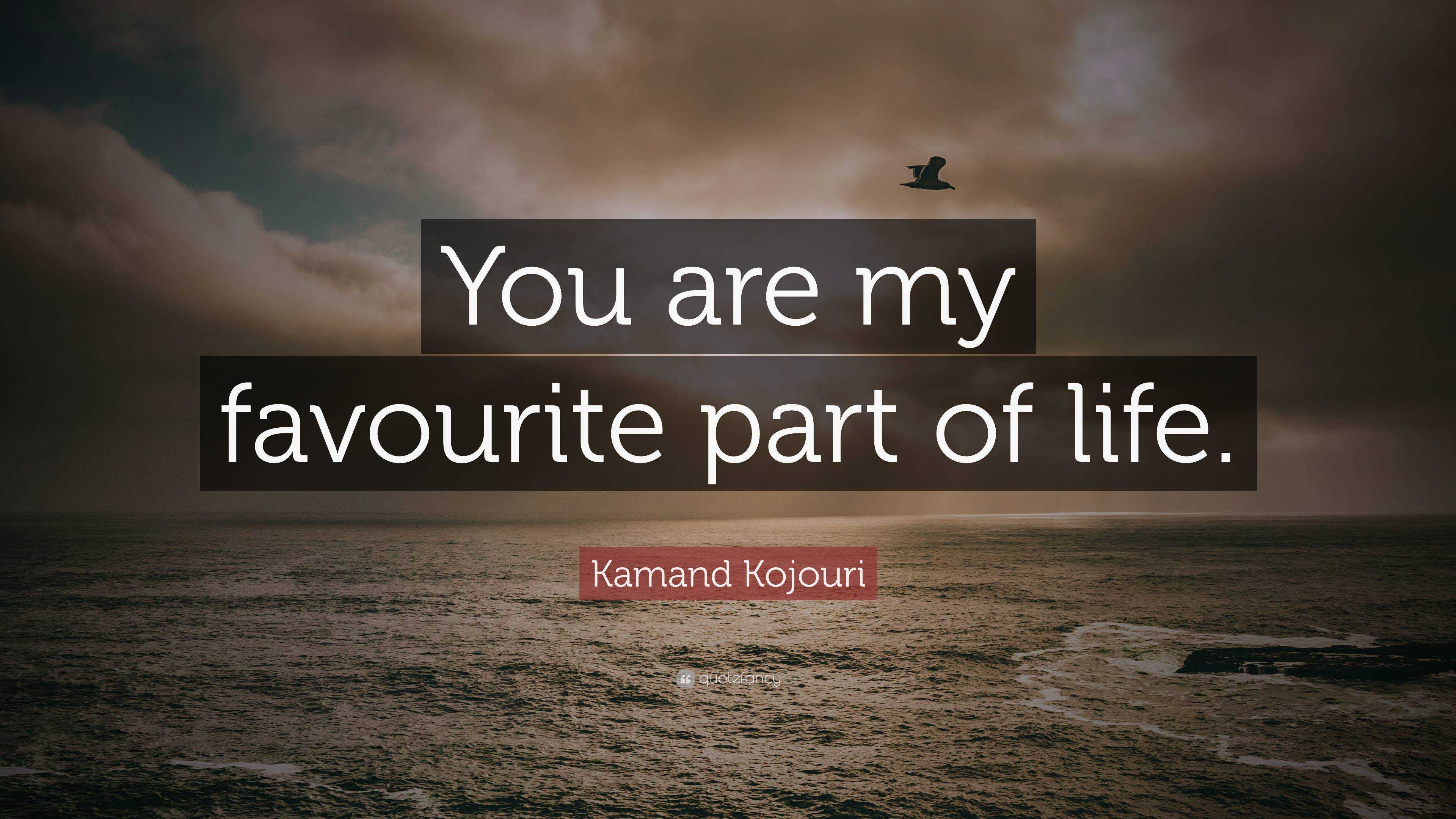 you are favourite part of my life meaning in hindi