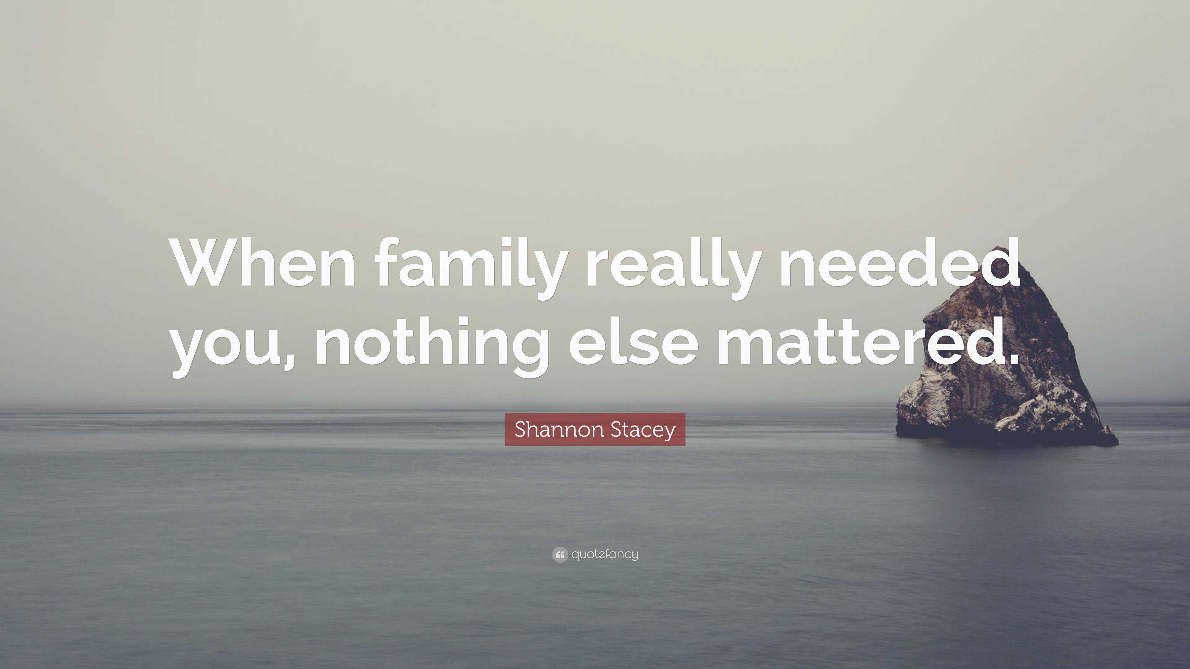 Shannon Stacey Quote: “When family really needed you, nothing else ...