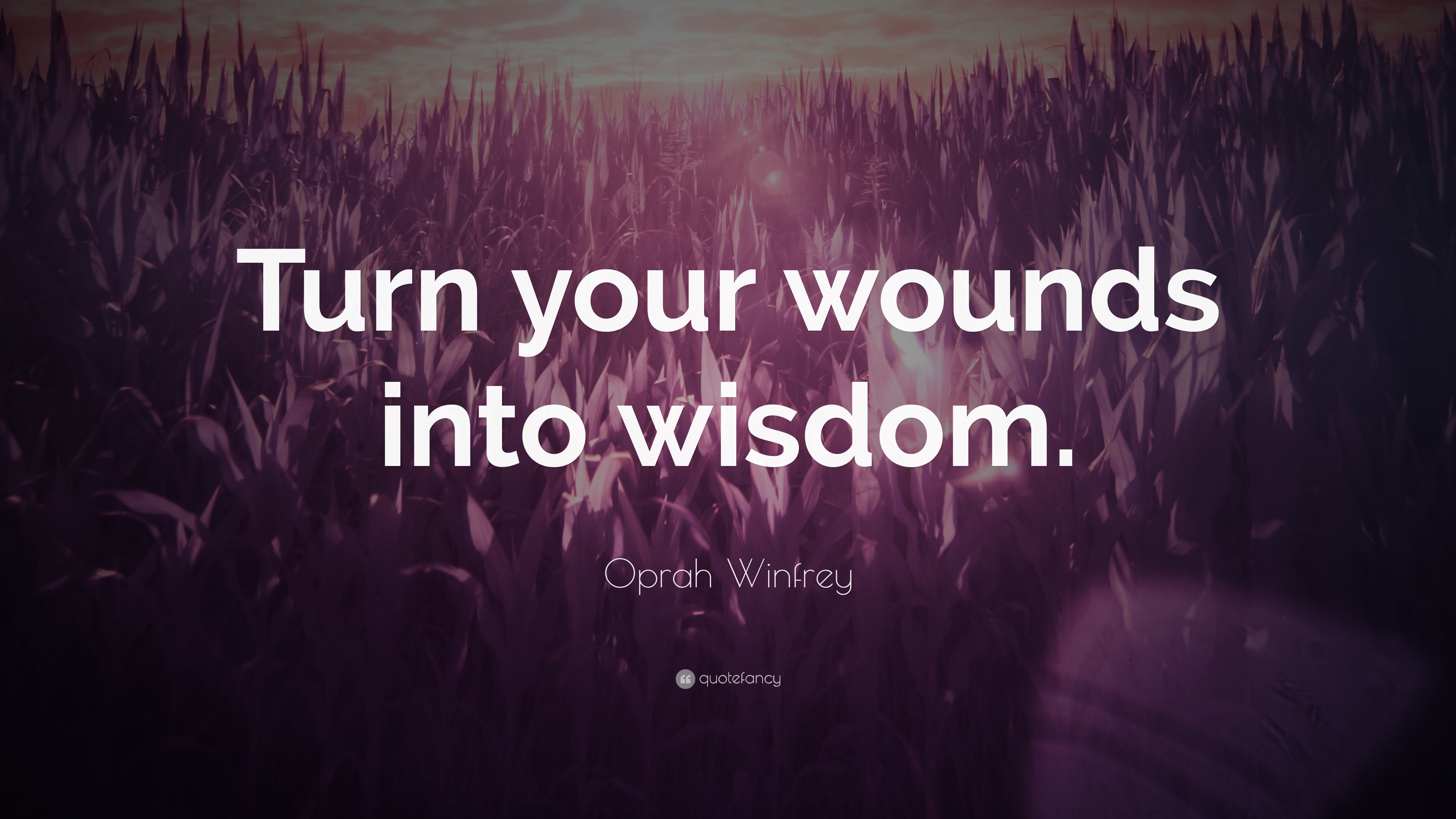 Oprah Winfrey Quote: “Turn your wounds into wisdom.” (20 wallpapers