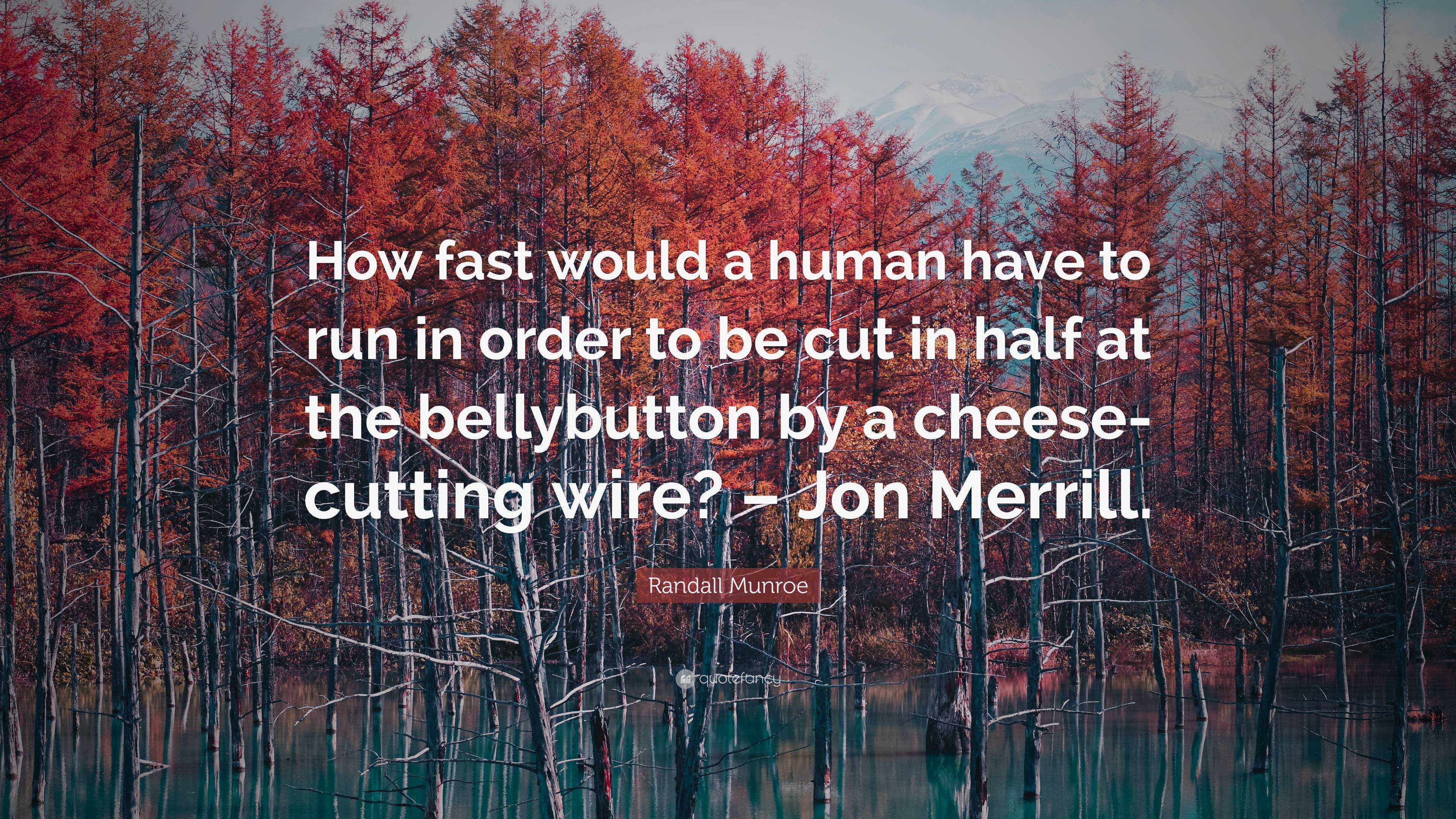 Randall Munroe Quote How Fast Would A Human Have To Run In Order To Be Cut In Half At The Bellybutton By A Cheese Cutting Wire Jon Merrill