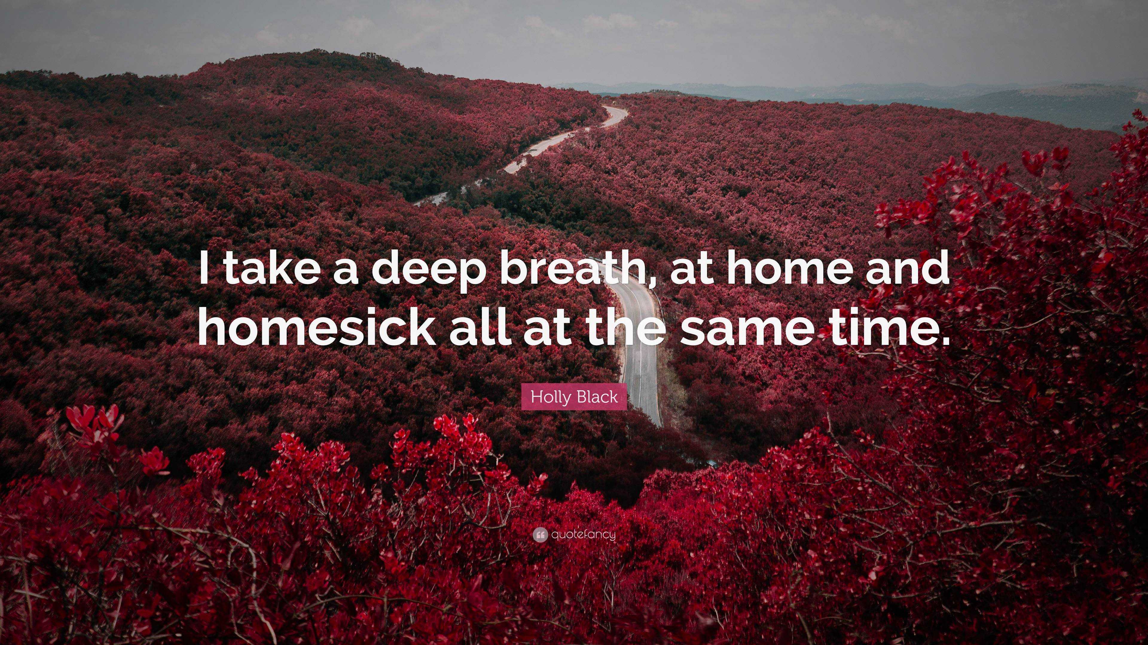 Holly Black Quote: “I take a deep breath, at home and homesick all