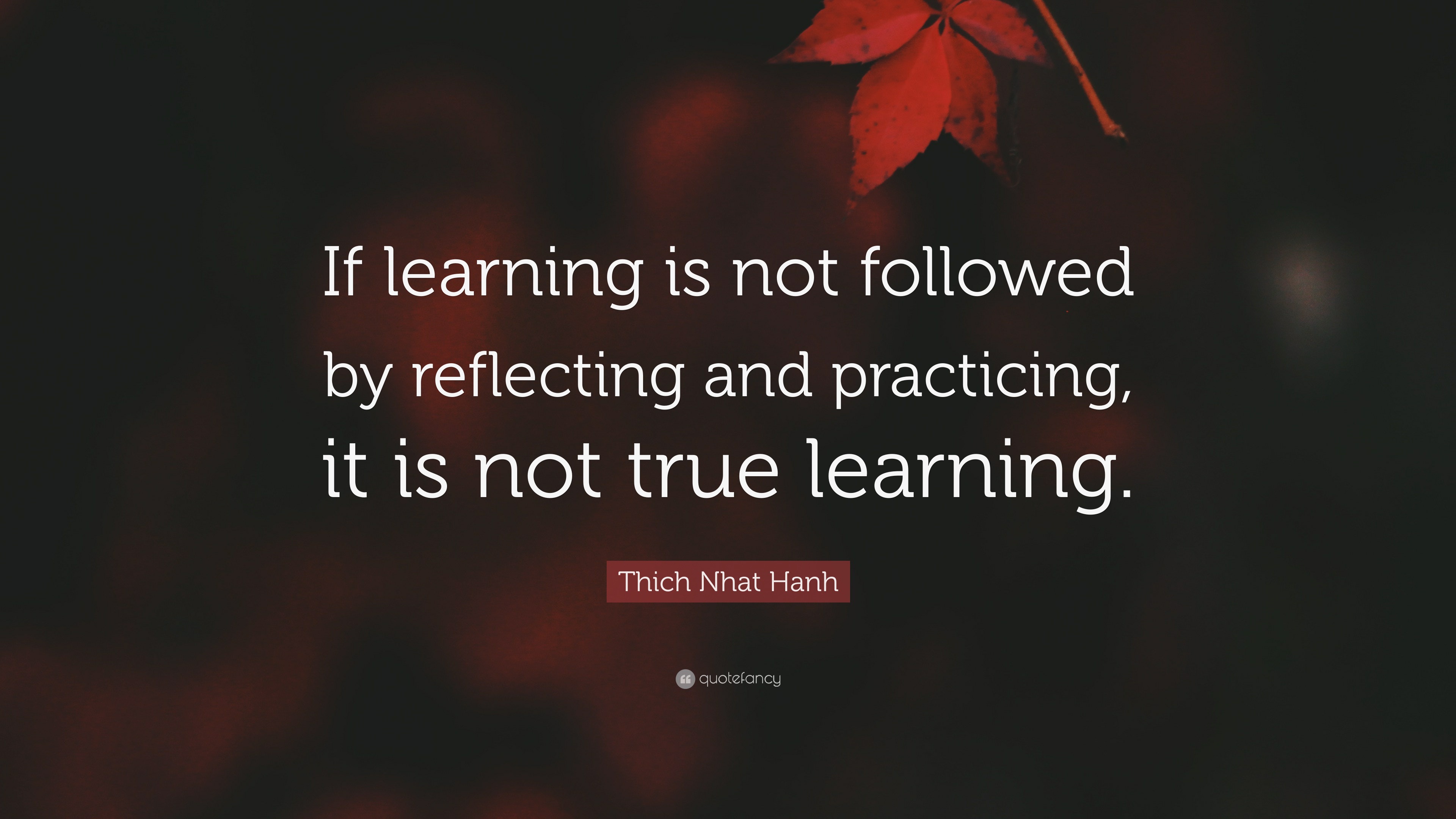 Thich Nhat Hanh Quote: “If learning is not followed by reflecting and ...