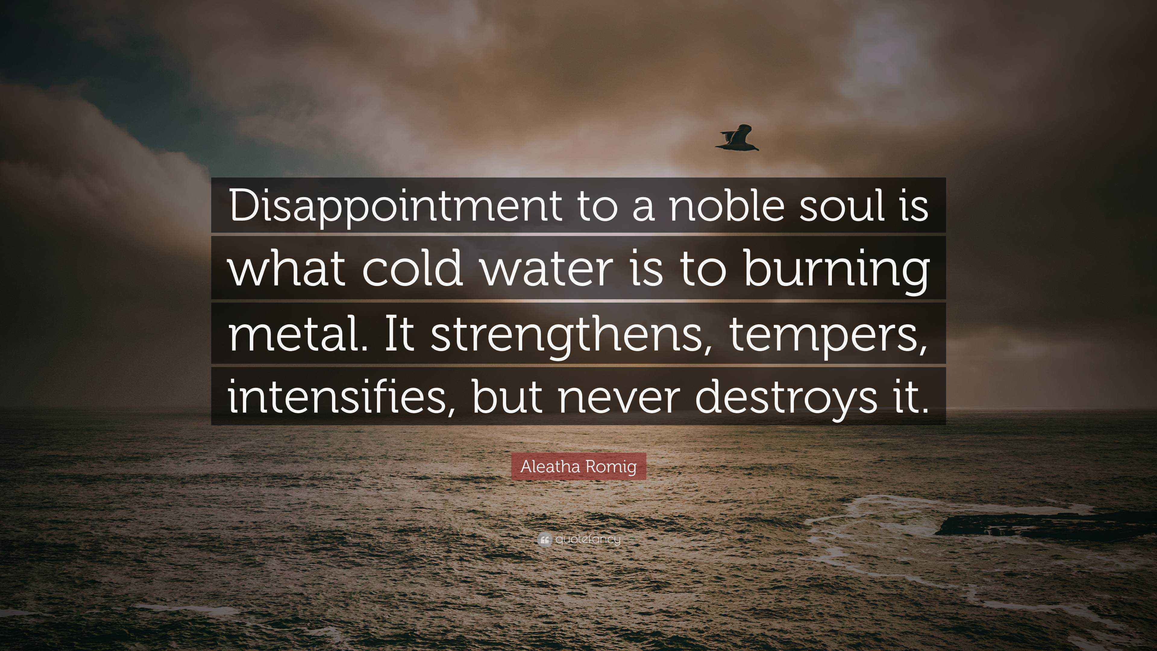 Aleatha Romig Quote “Disappointment to a noble soul is what cold water