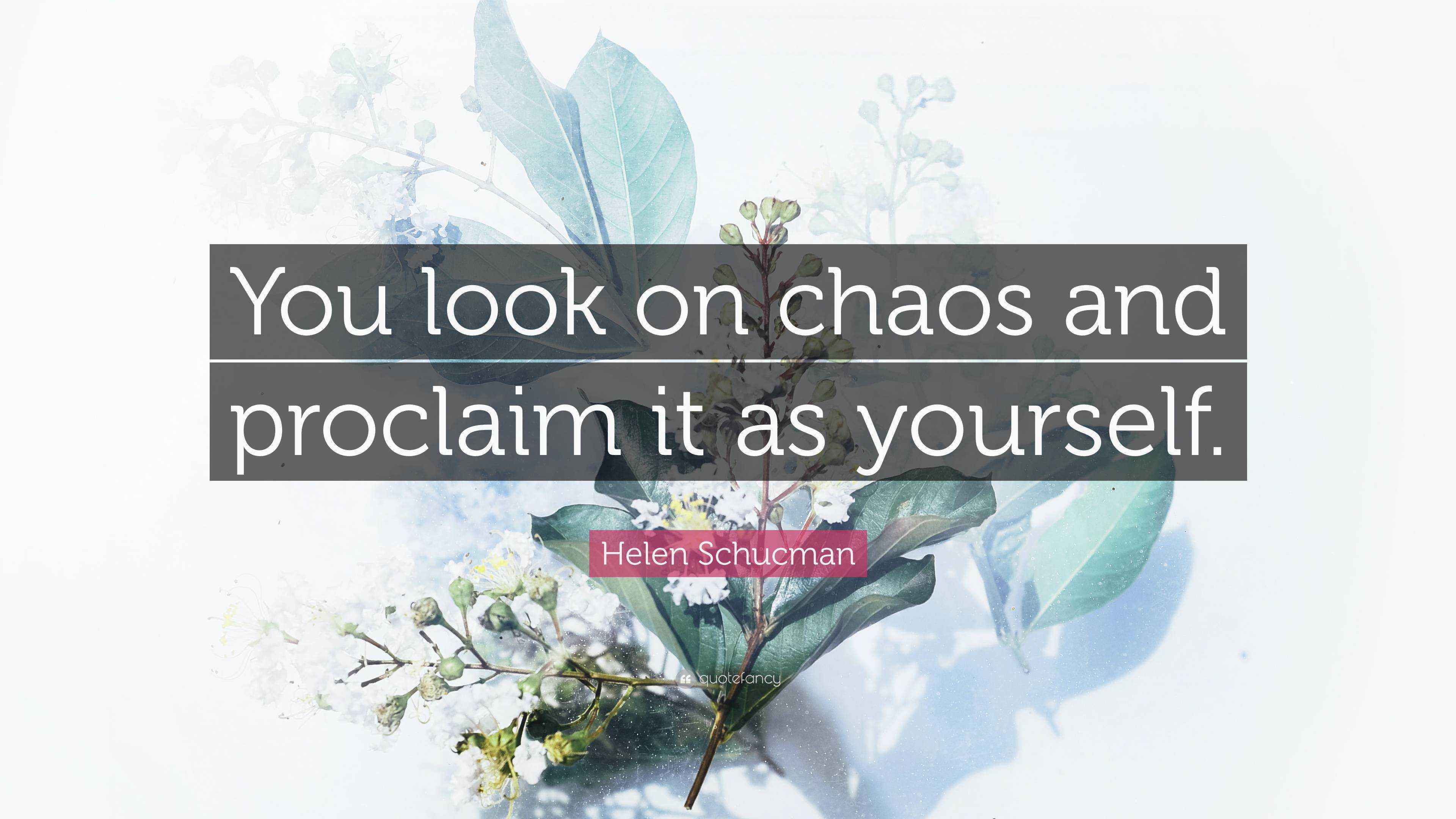 Helen Schucman Quote: “You look on chaos and proclaim it as yourself.”