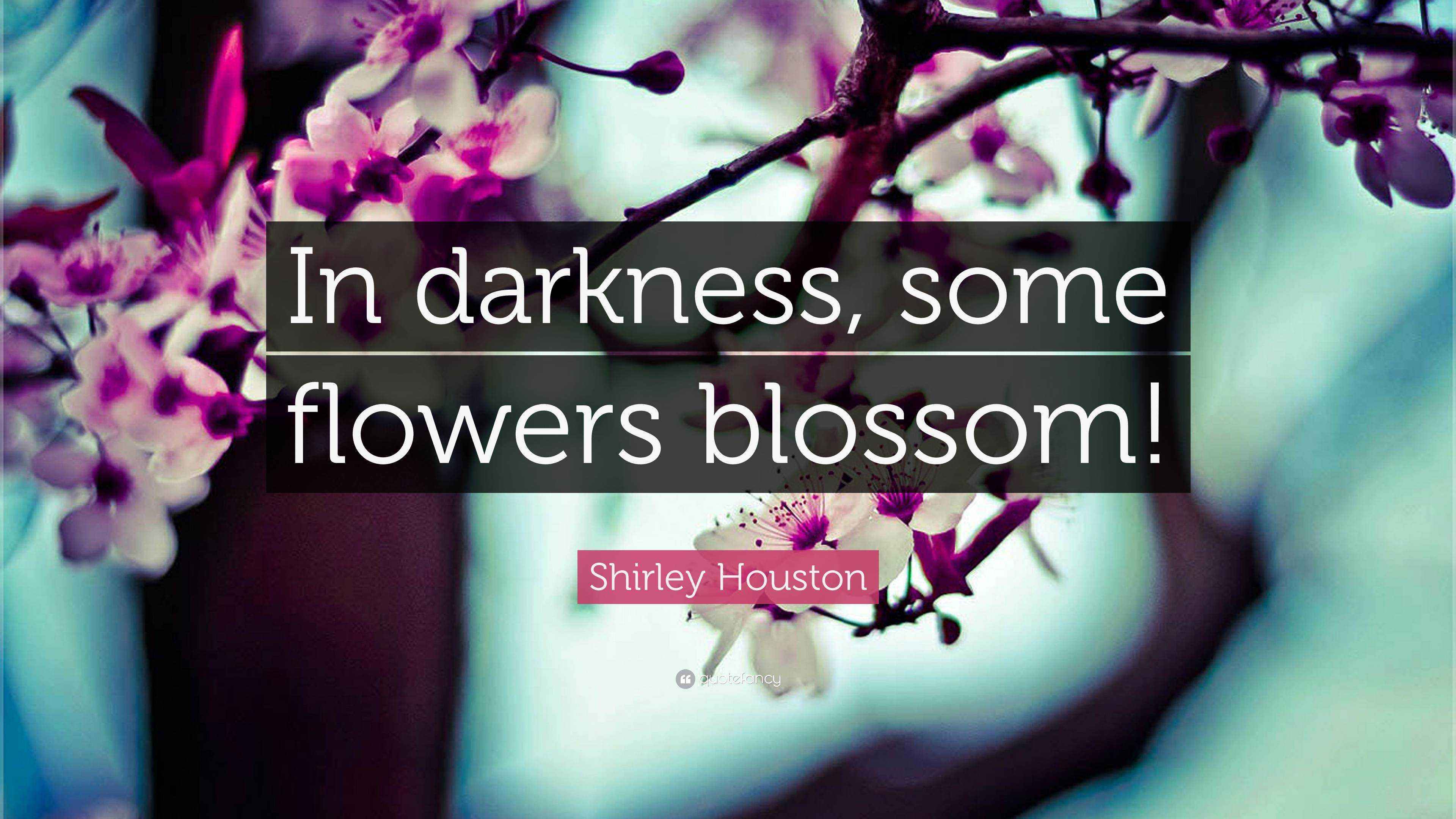 Shirley Houston Quote “In darkness, some flowers blossom!”