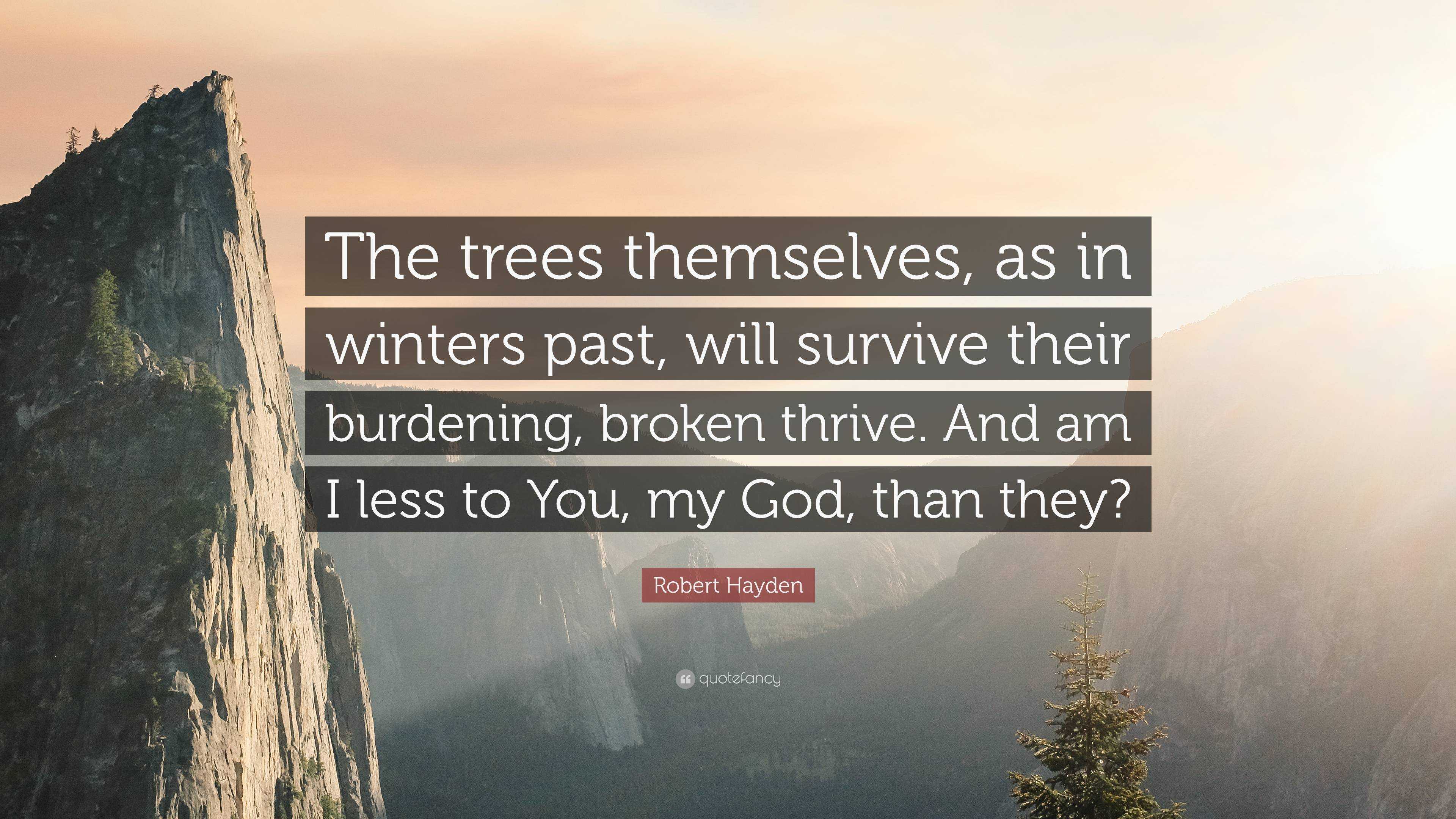 Robert Hayden Quote: “The trees themselves, as in winters past, will  survive their burdening, broken thrive. And am I less to You, my God,  tha...”