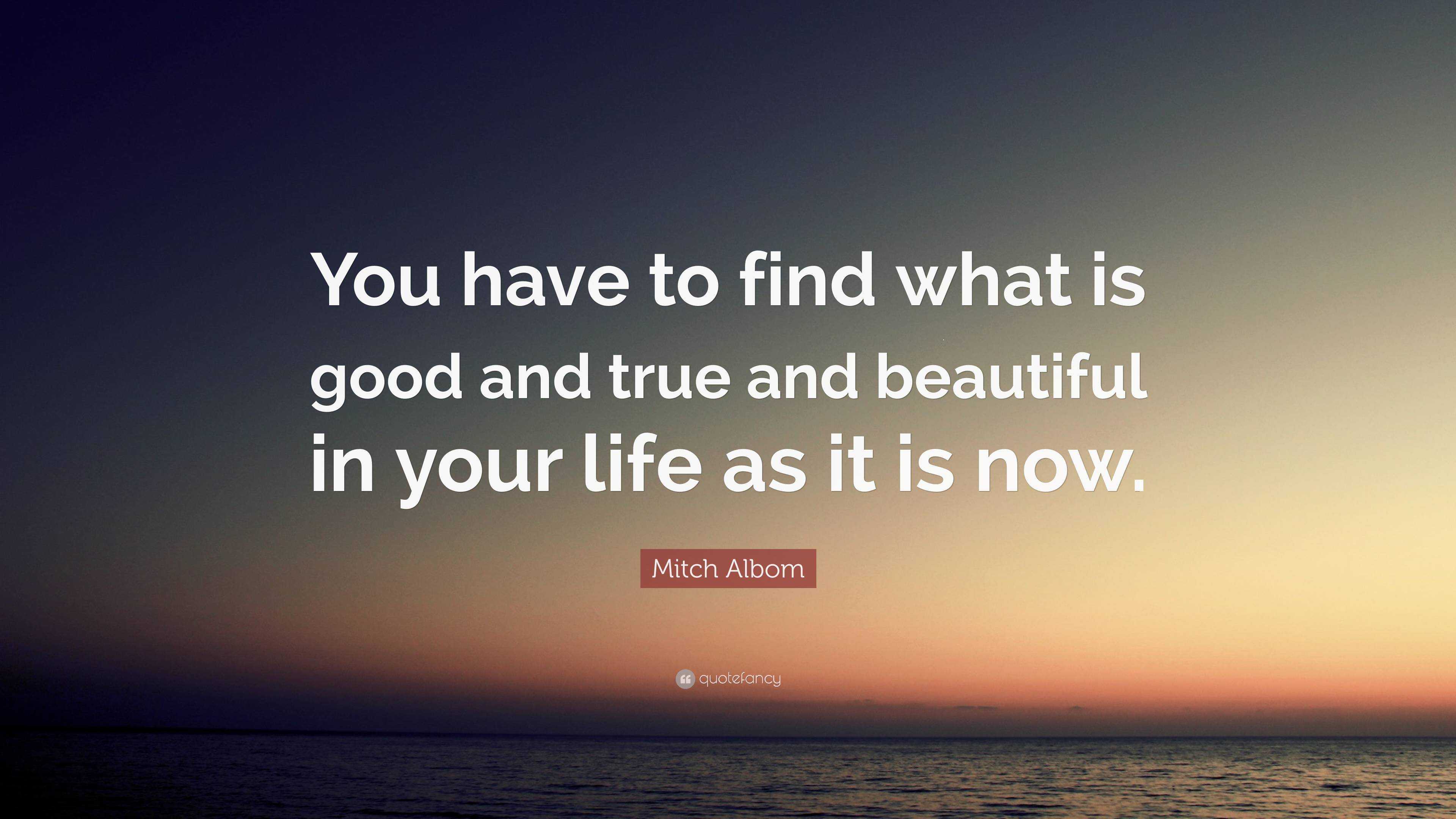 Mitch Albom Quote: “You have to find what is good and true and ...