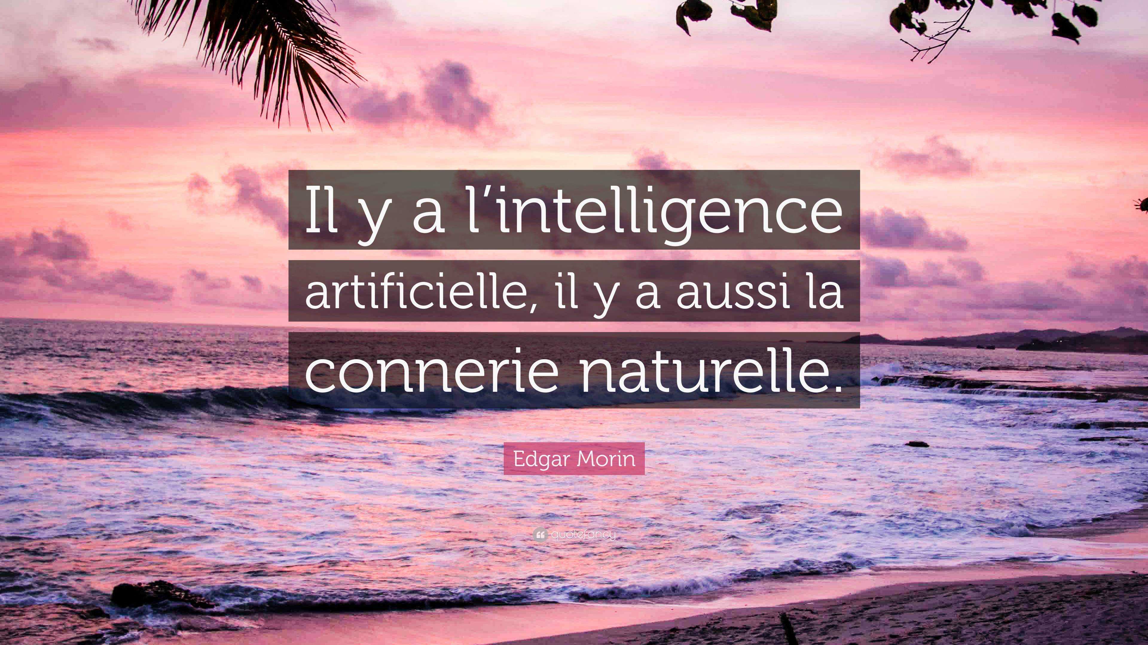 Edgar Morin Quote Il Y A L intelligence Artificielle Il Y A Aussi La edgar-morin-quote-il-y-a-l-intelligence-artificielle-il-y-a-aussi-la