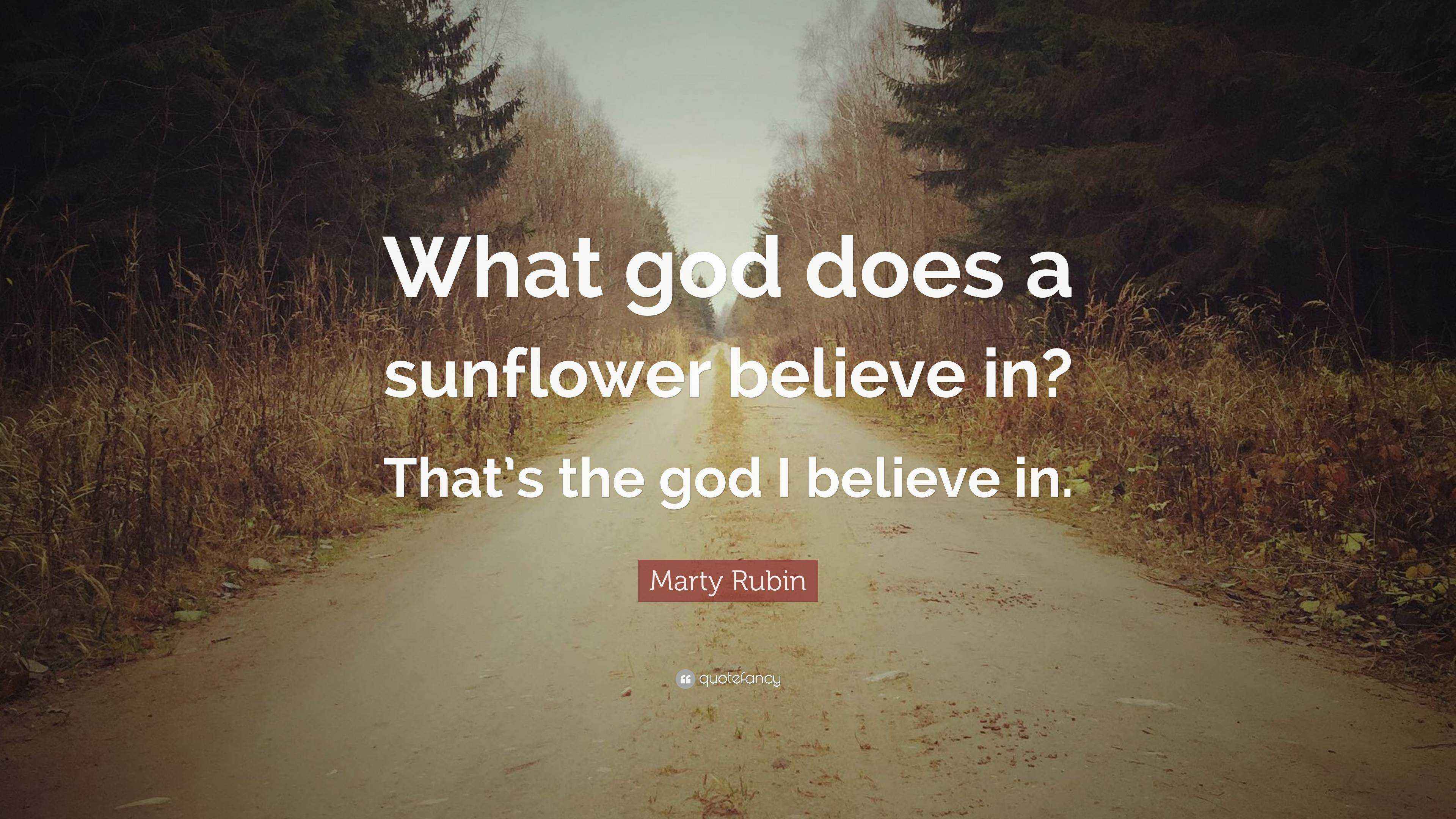 Marty Rubin Quote “What god does a sunflower believe in? That’s the god I believe in.”