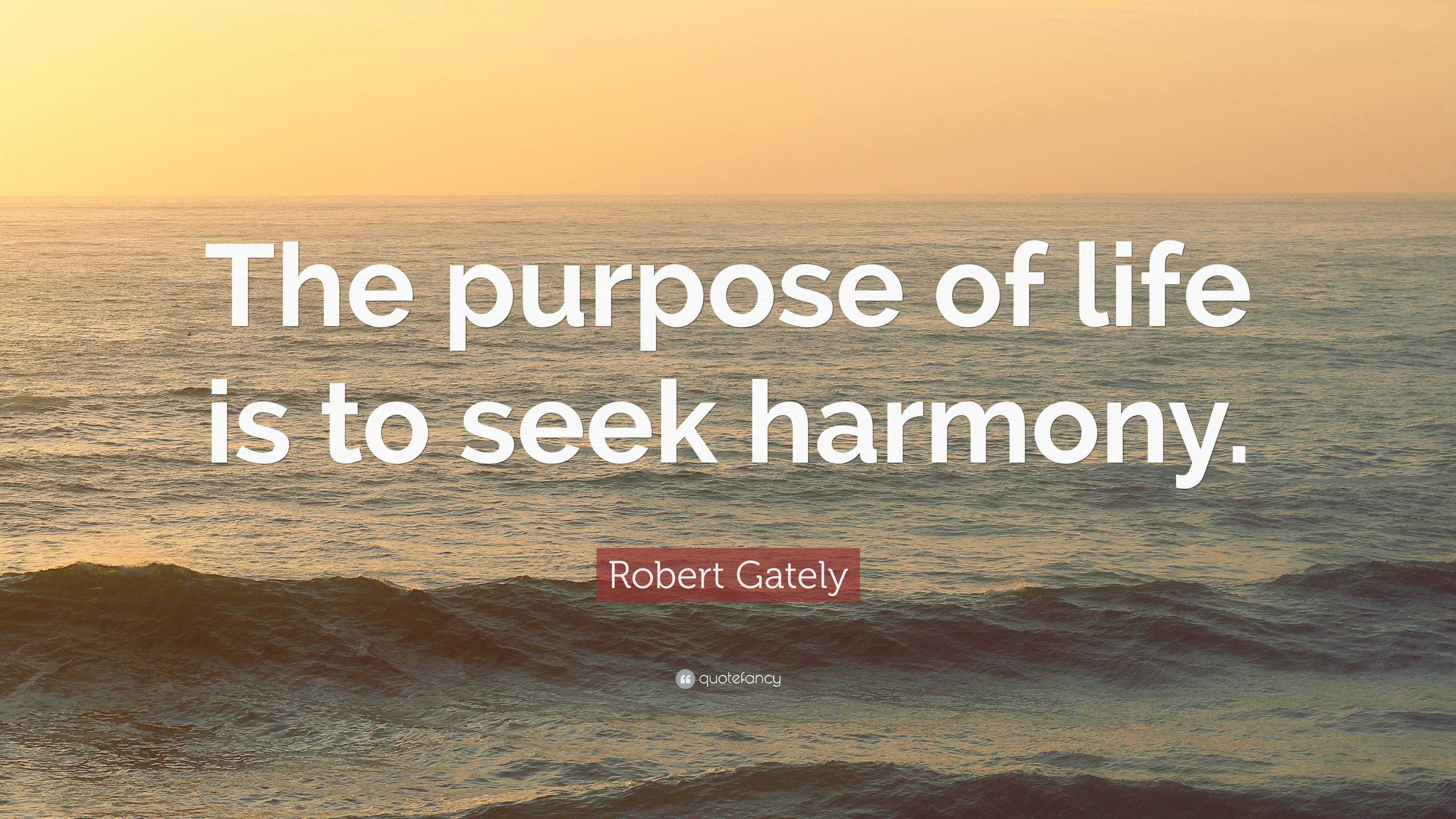 Robert Gately Quote: “The purpose of life is to seek harmony.”