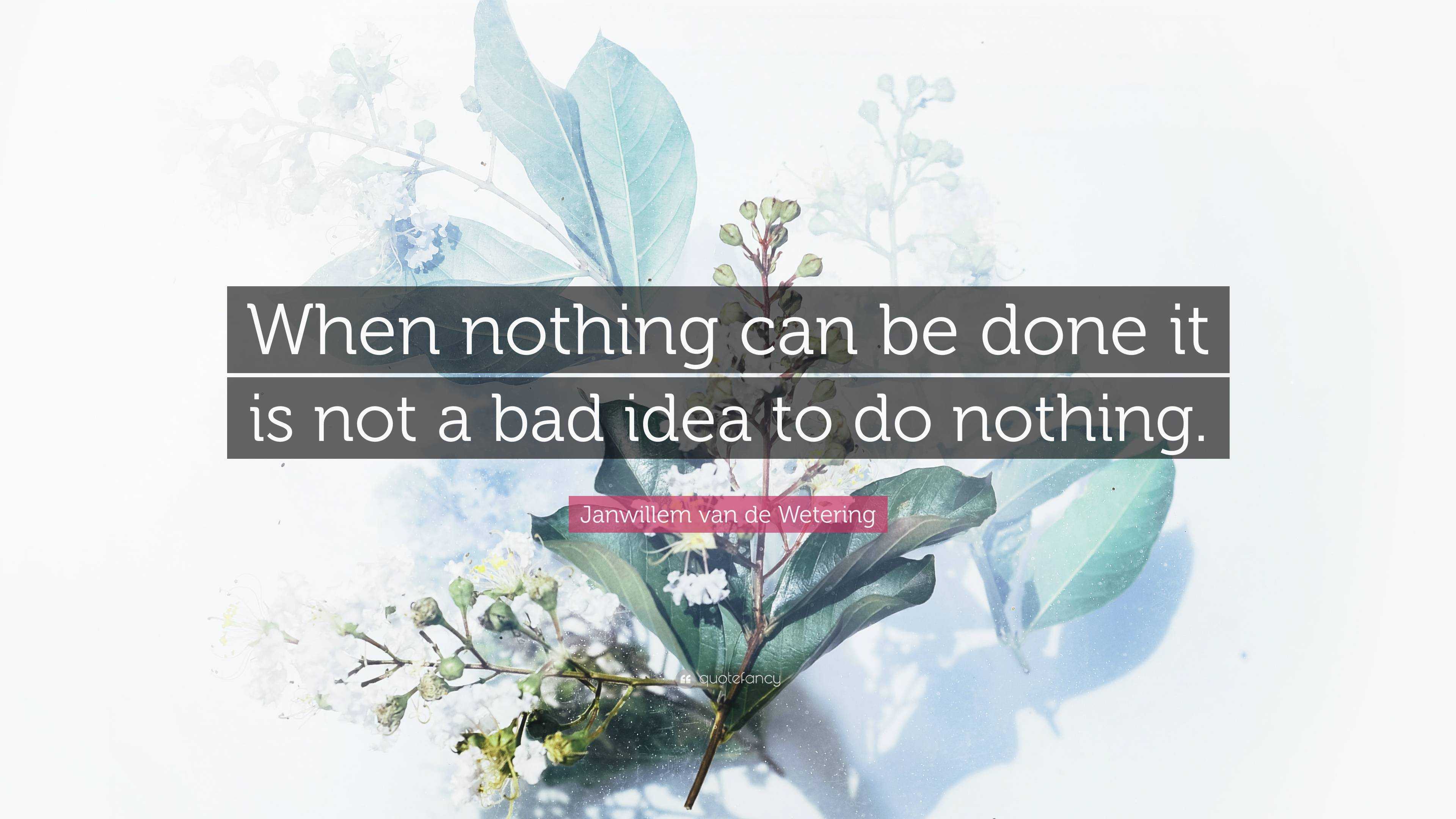 Janwillem van de Wetering Quote: “When nothing can be done it is not a ...