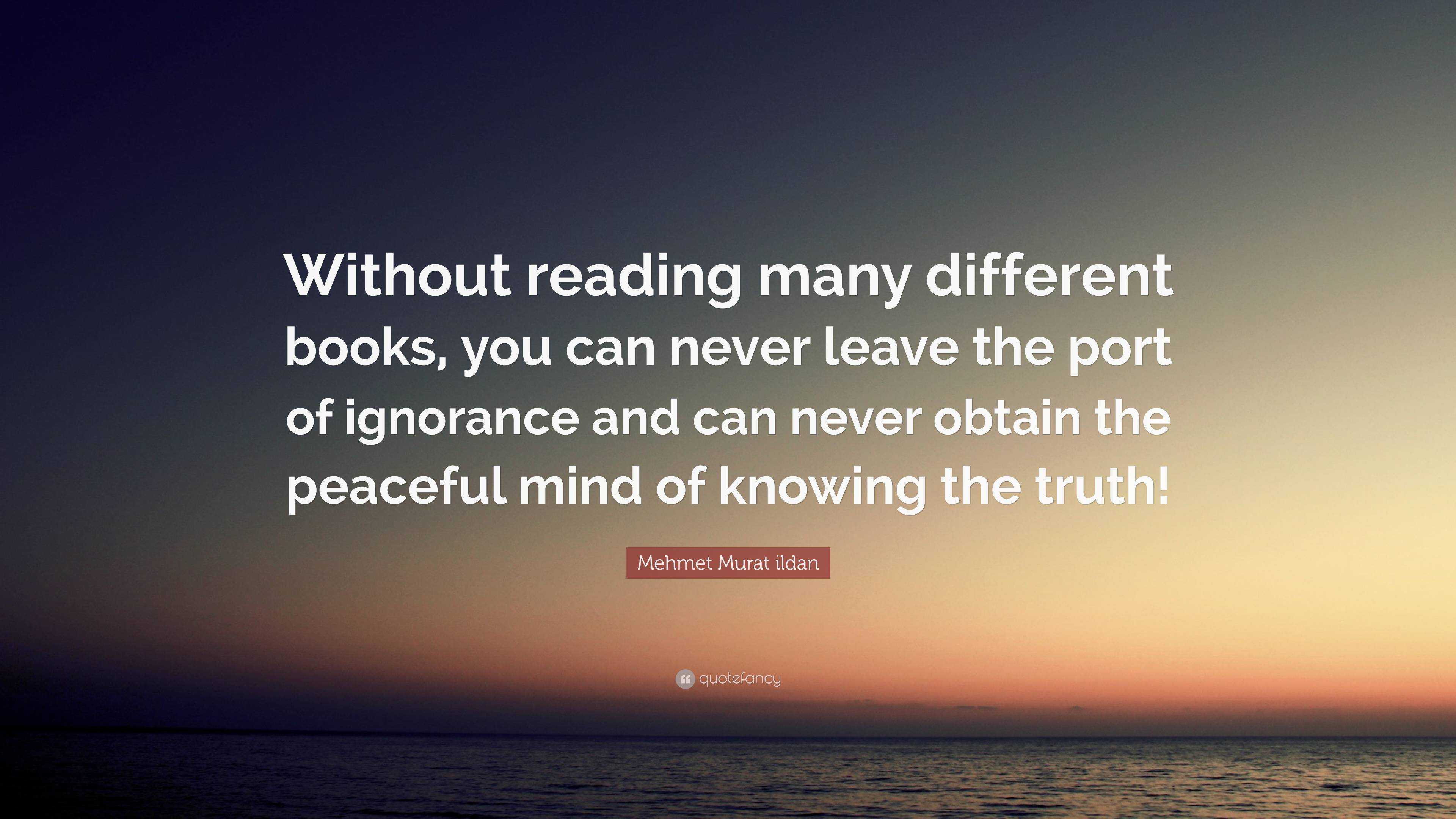 Mehmet Murat ildan Quote: “Without reading many different books, you ...