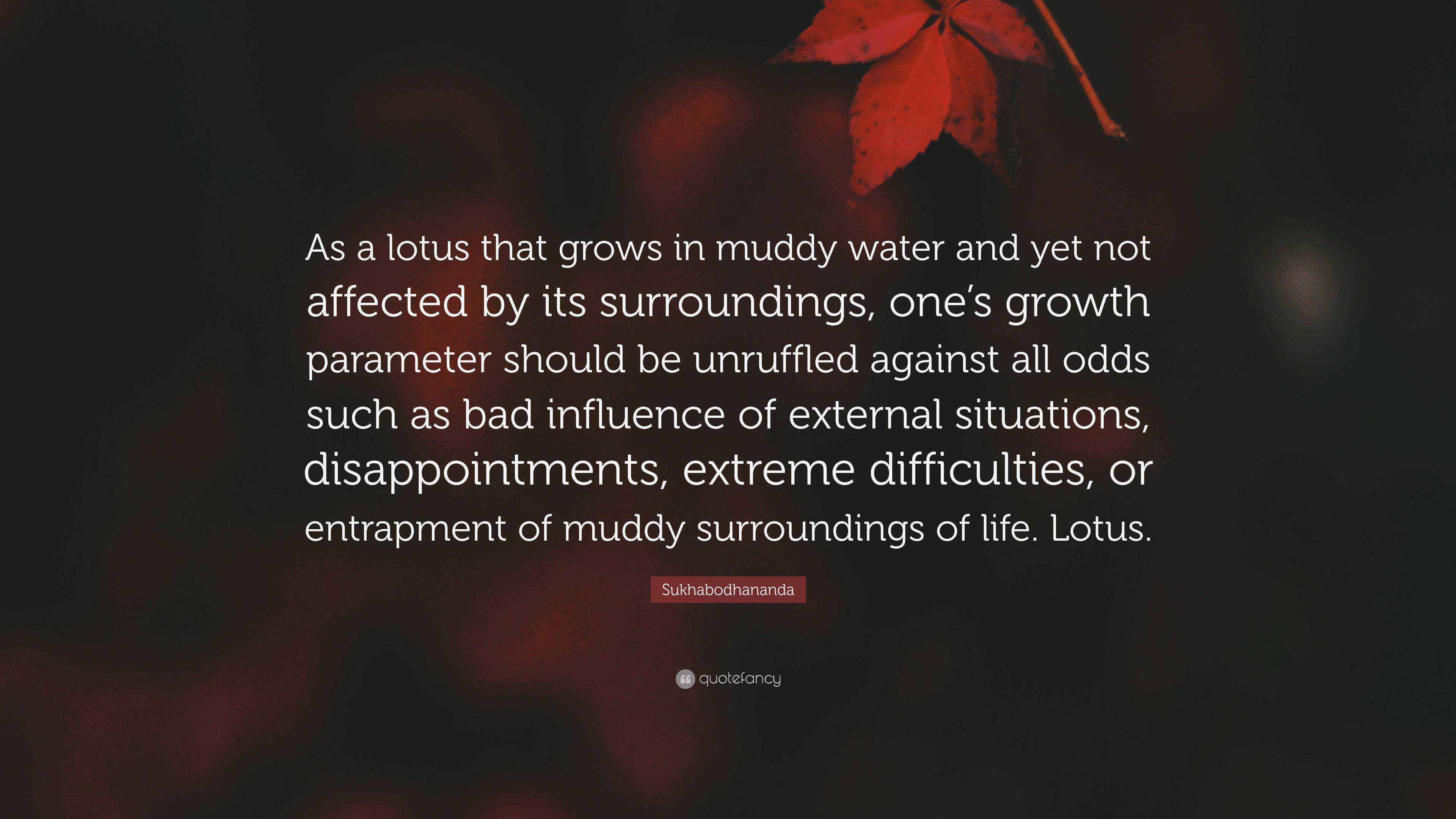 Sukhabodhananda Quote “As a lotus that grows in muddy water and yet