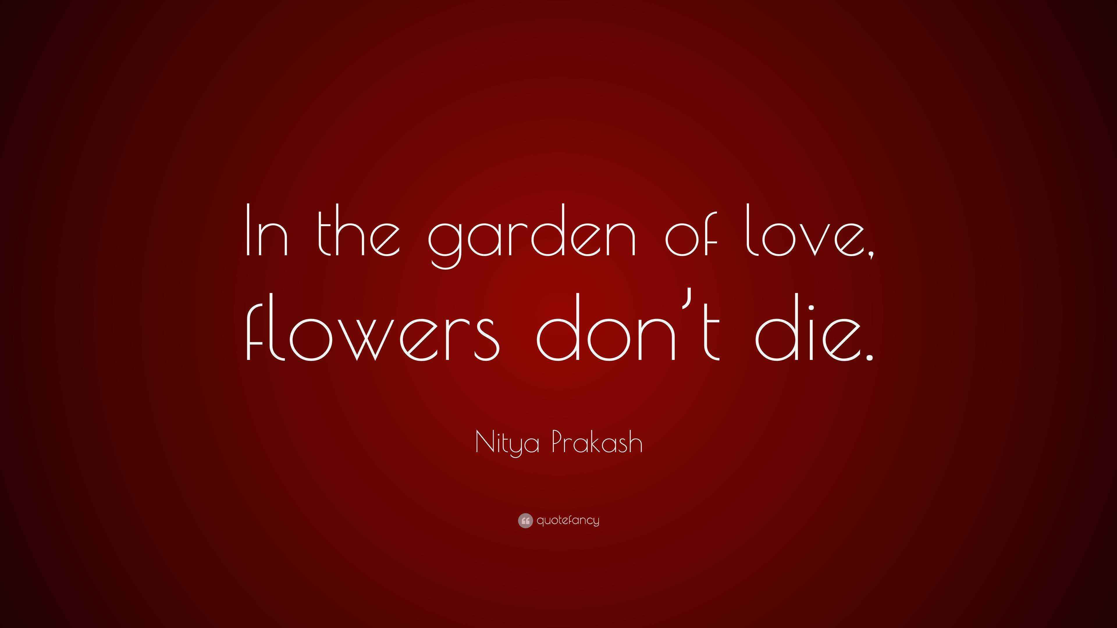 Nitya Prakash Quote “In the garden of love, flowers don’t die.”