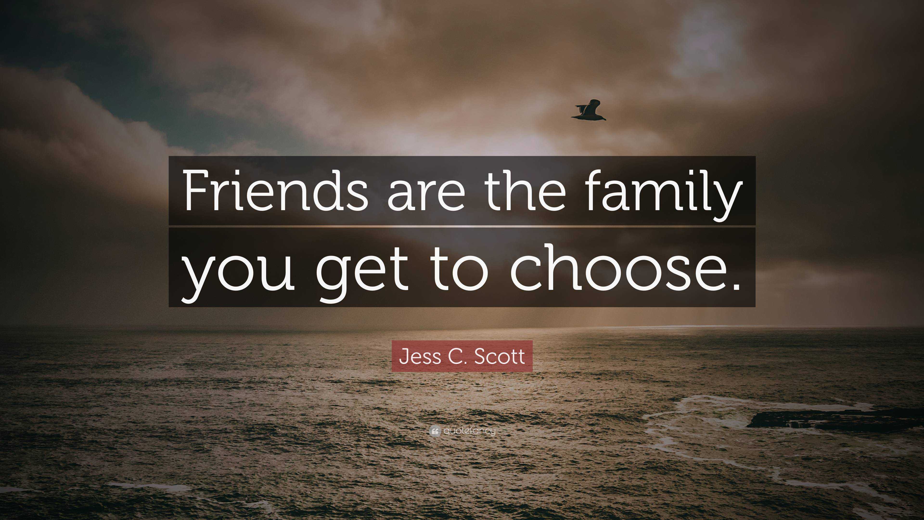 friends are the family you choose essay