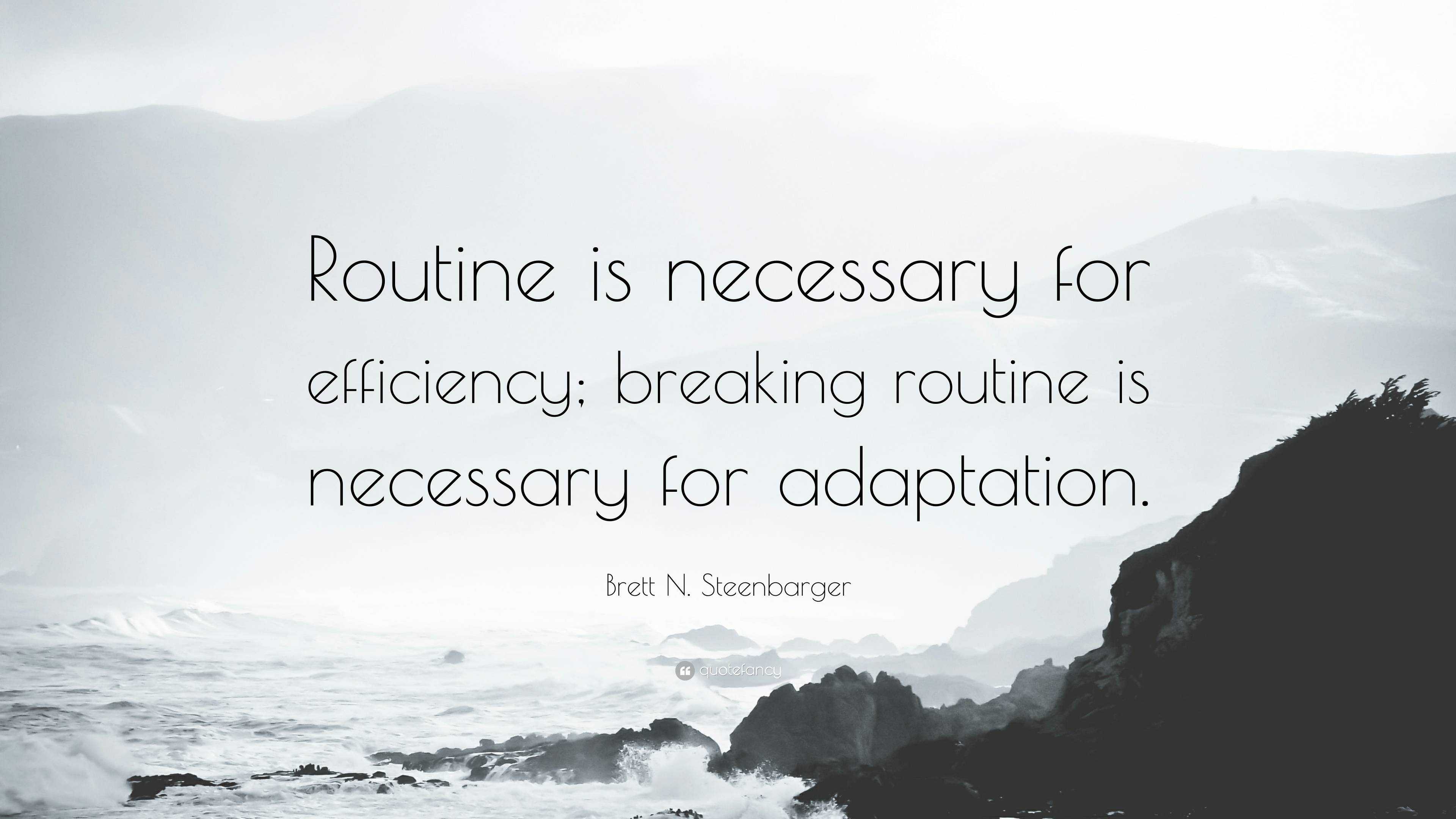 Brett N. Steenbarger Quote: “Routine is necessary for efficiency ...
