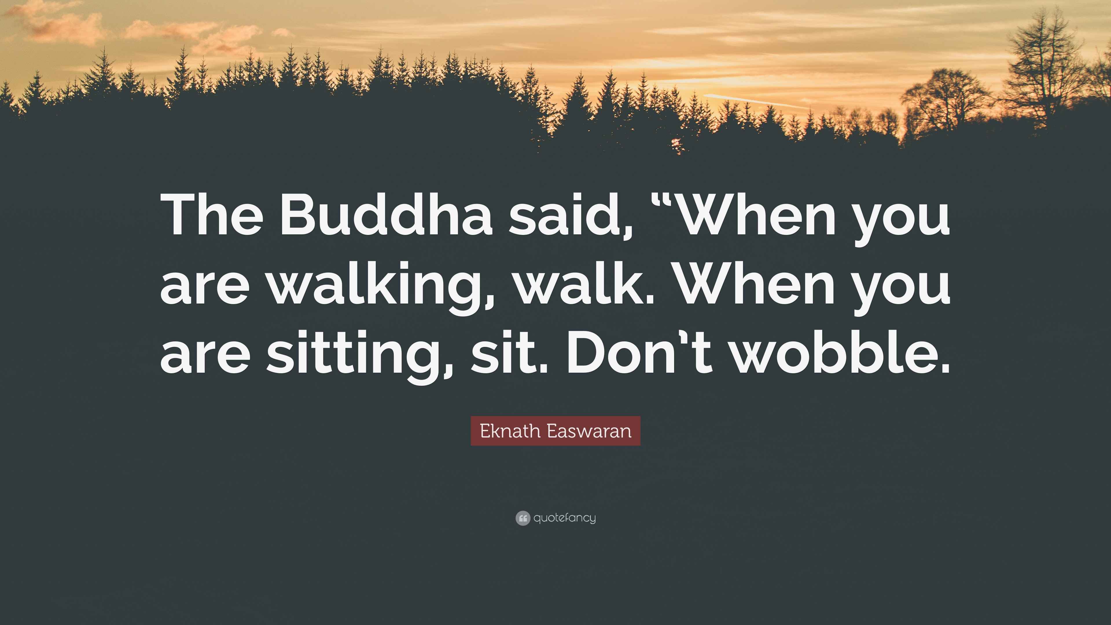 Eknath Easwaran Quote “The Buddha said, “When you are walking, walk. When you are sitting, sit