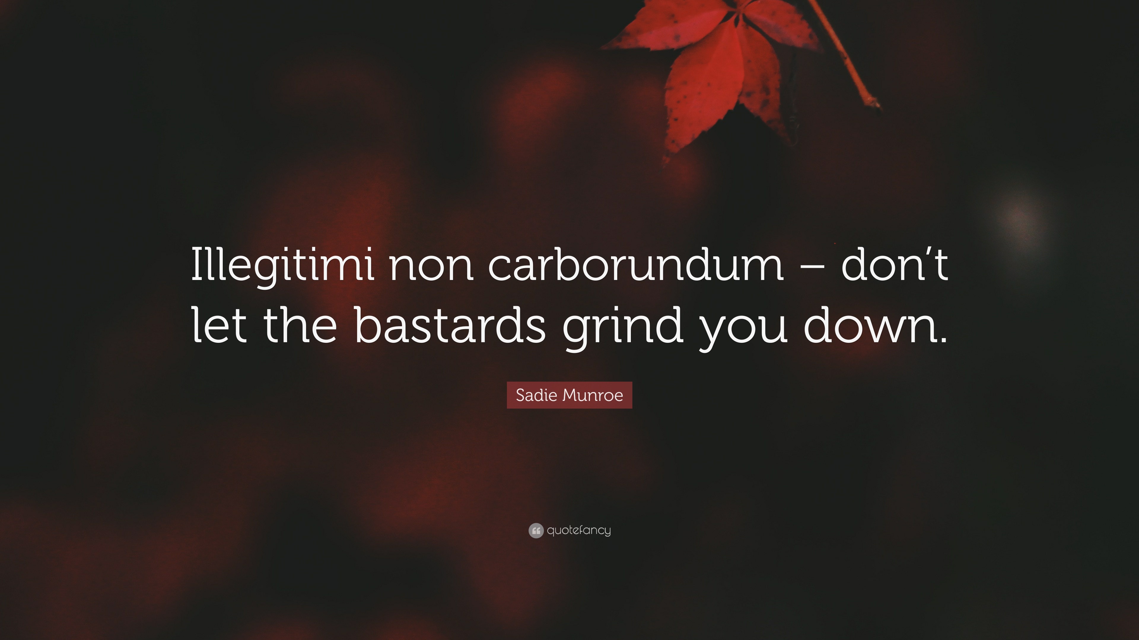Sadie Munroe Quote: “Illegitimi non carborundum – don’t let the ...