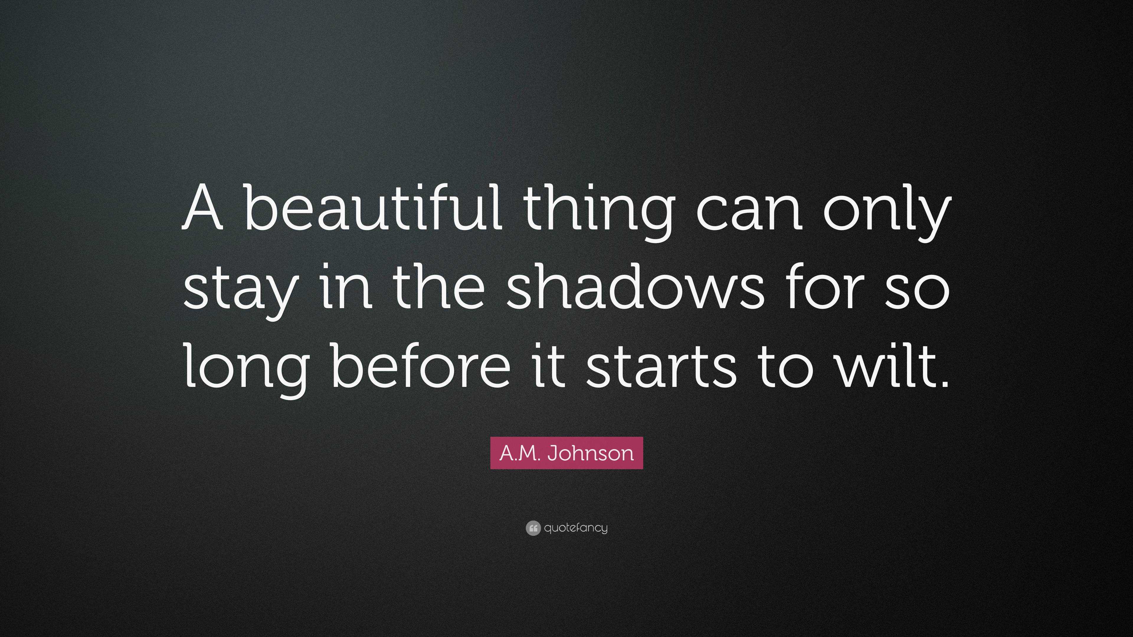 A.M. Johnson Quote: “A beautiful thing can only stay in the shadows for ...