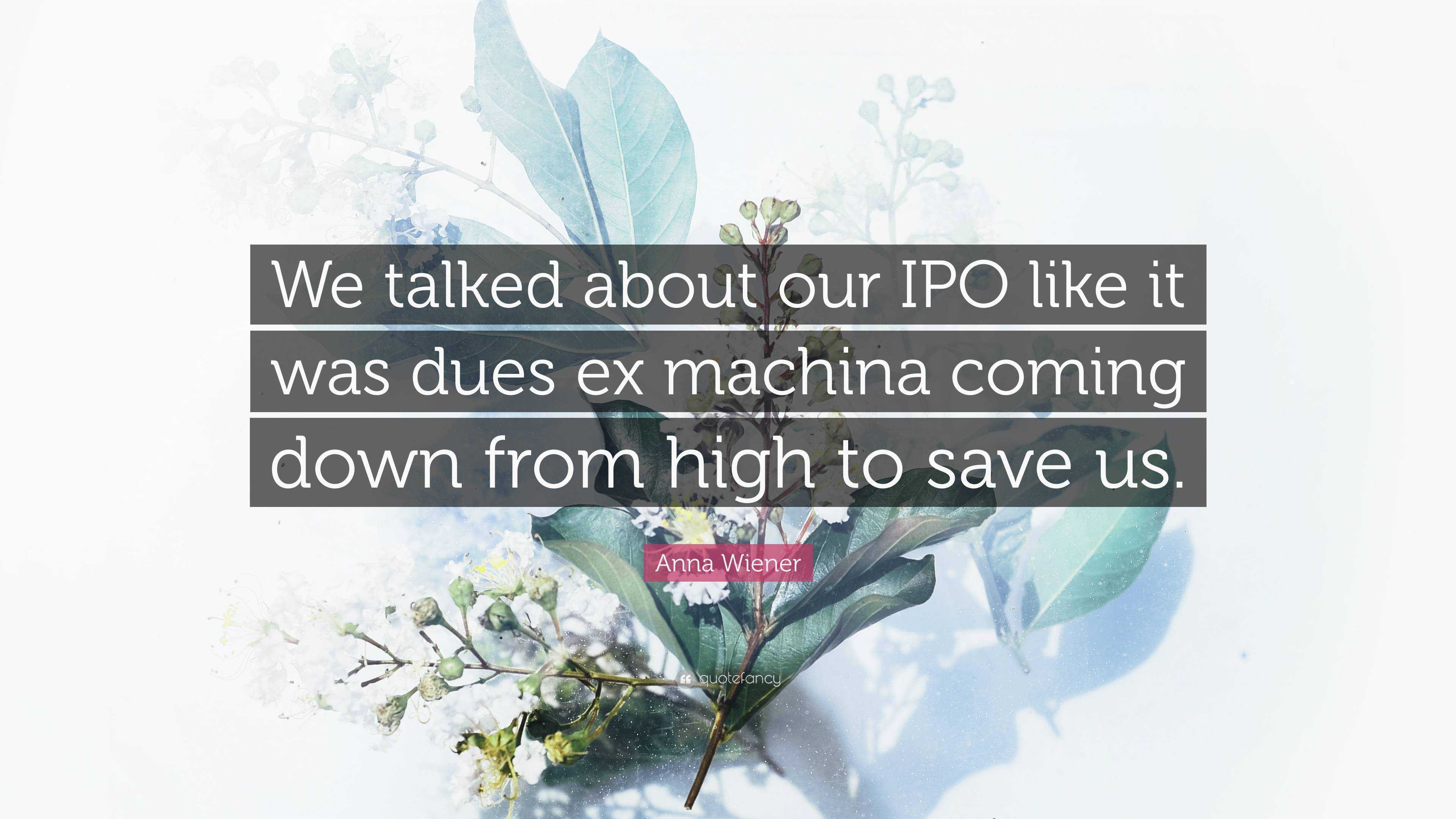 Anna Wiener Quote: “We talked about our IPO like it was dues ex machina  coming down