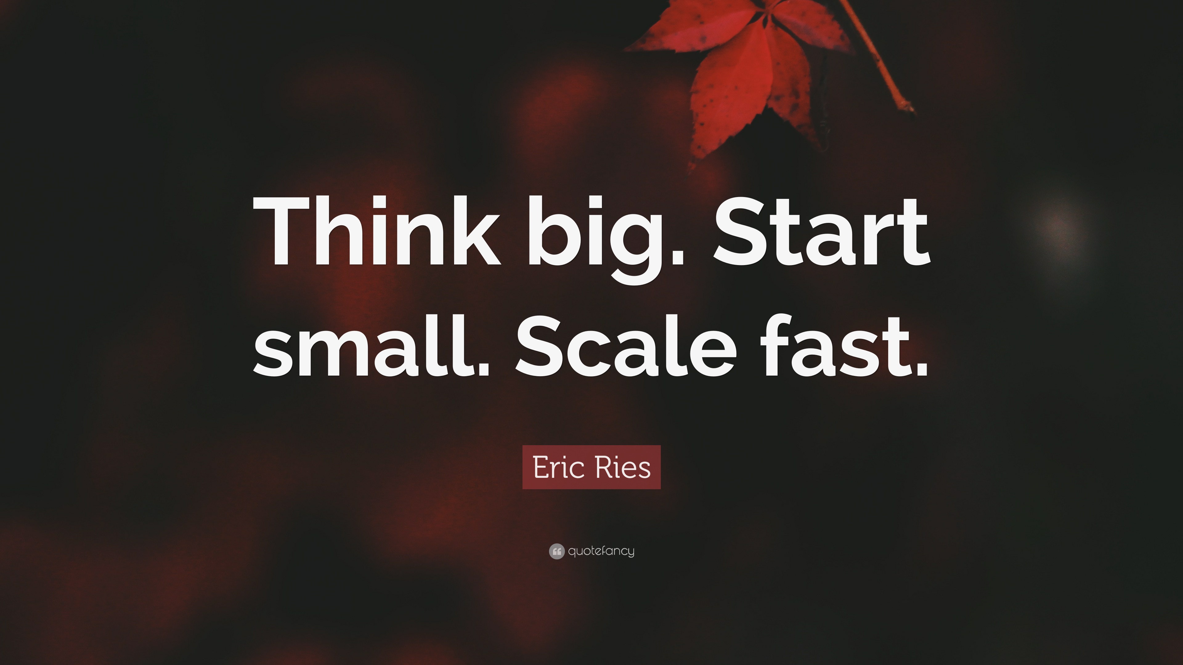 Eric Ries Quote: “Think big. Start small. Scale fast.”