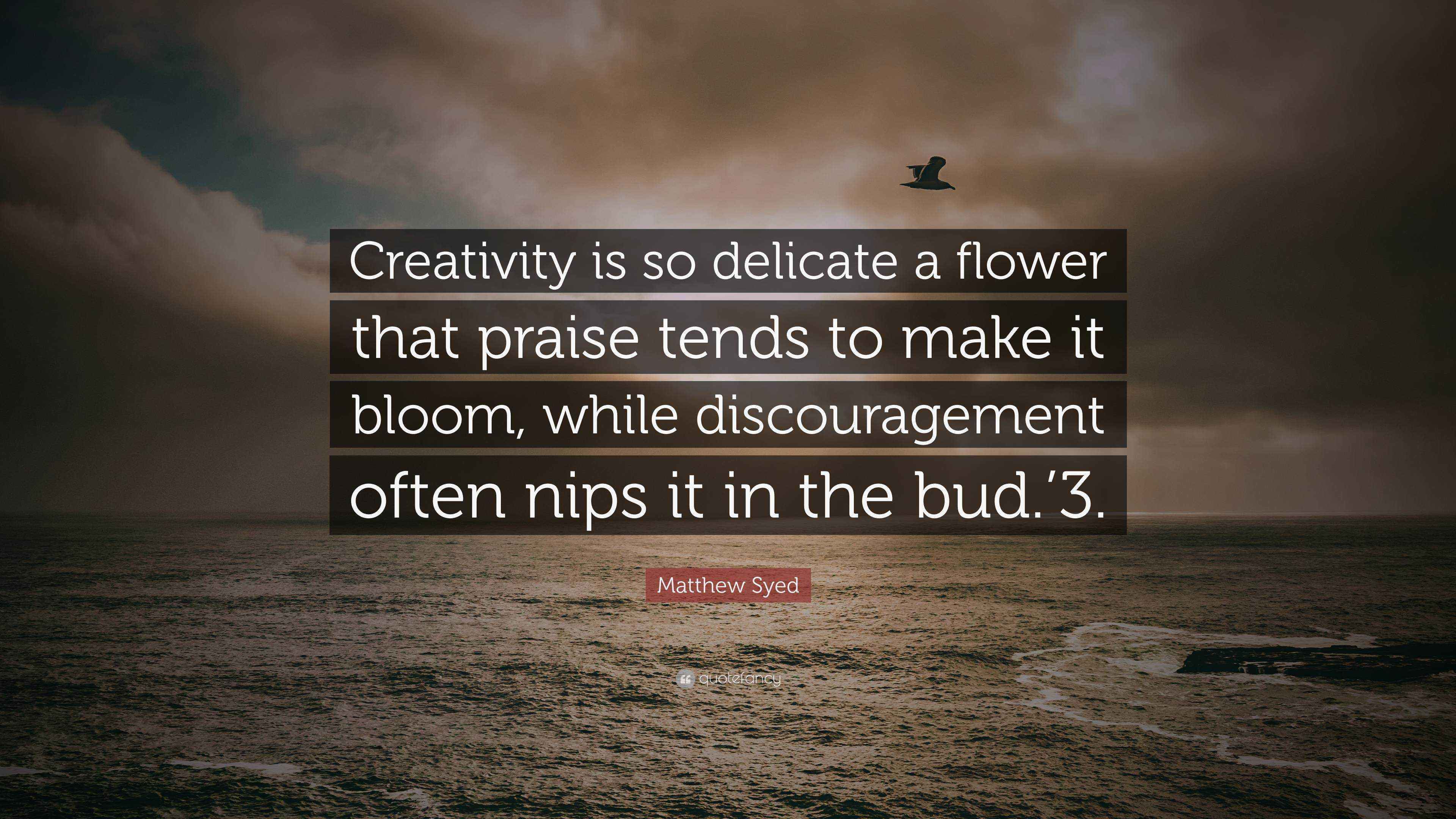 Matthew Syed Quote “Creativity is so delicate a flower that praise