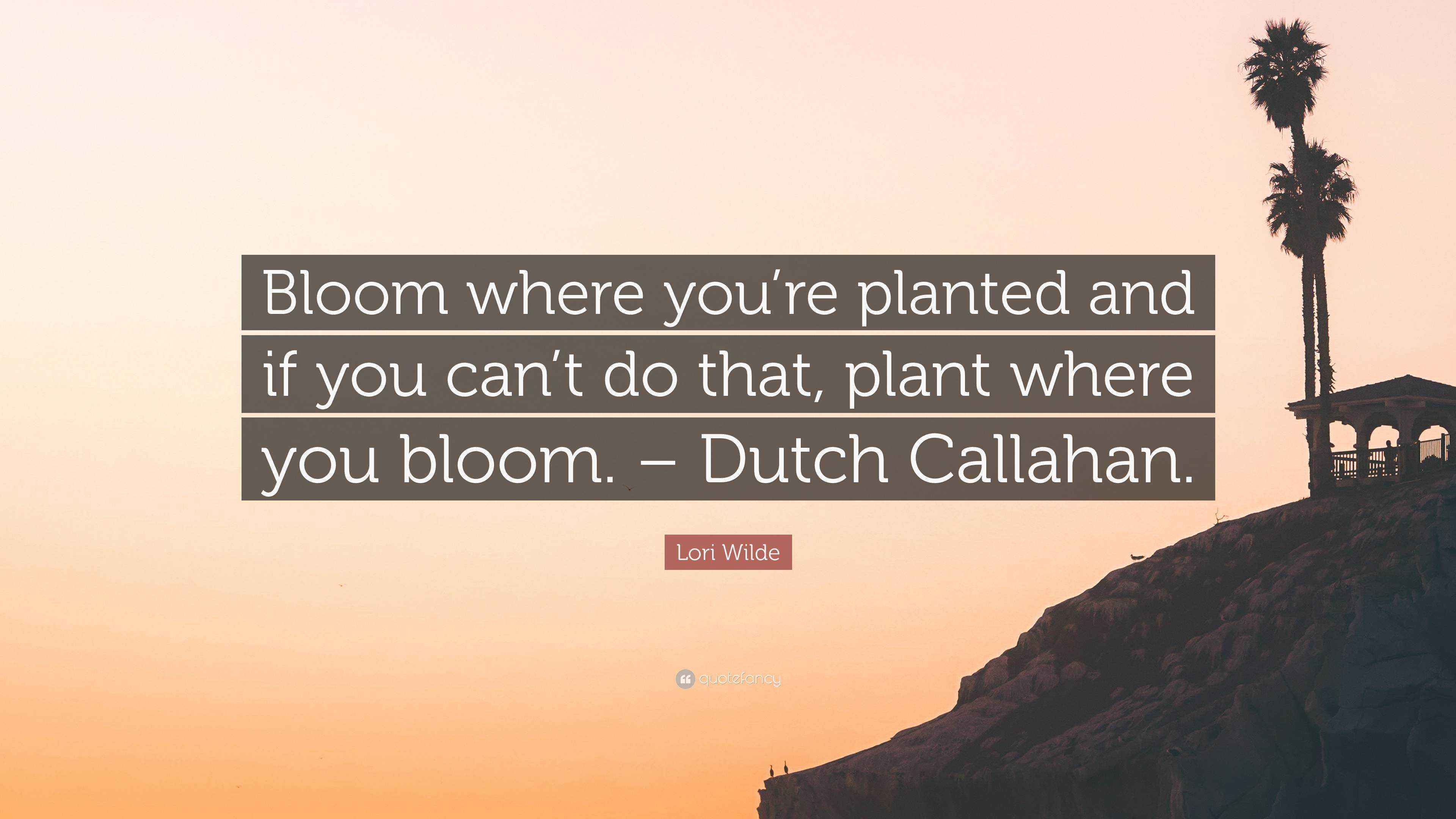 Lori Wilde Quote: Bloom where you're planted and if you can't do that,  plant