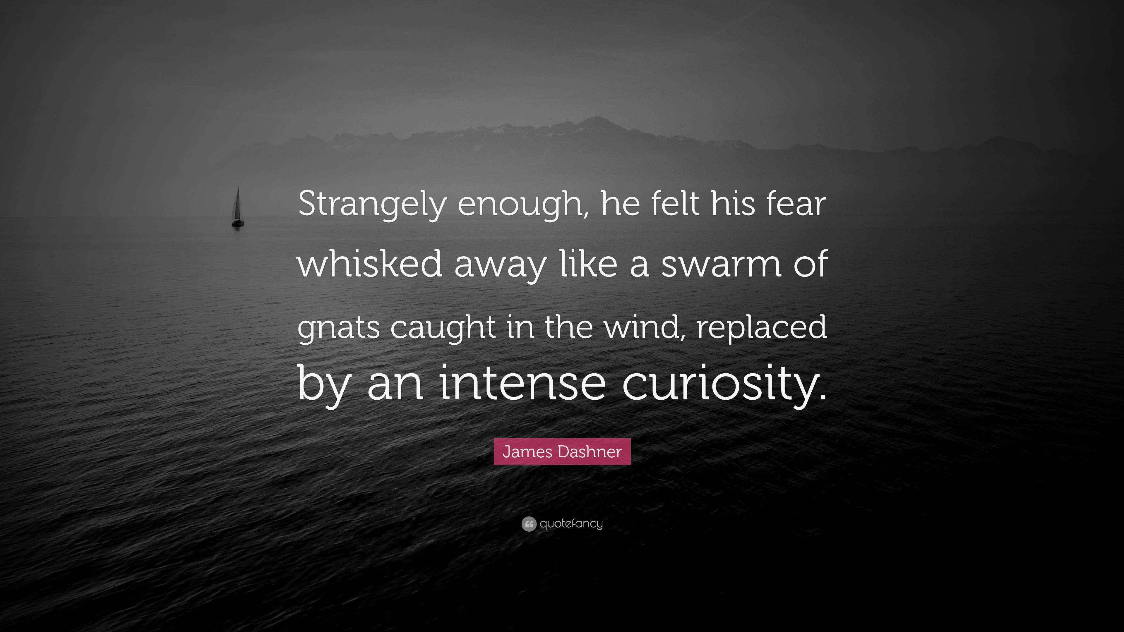 James Dashner Quote “Strangely enough, he felt his fear whisked away