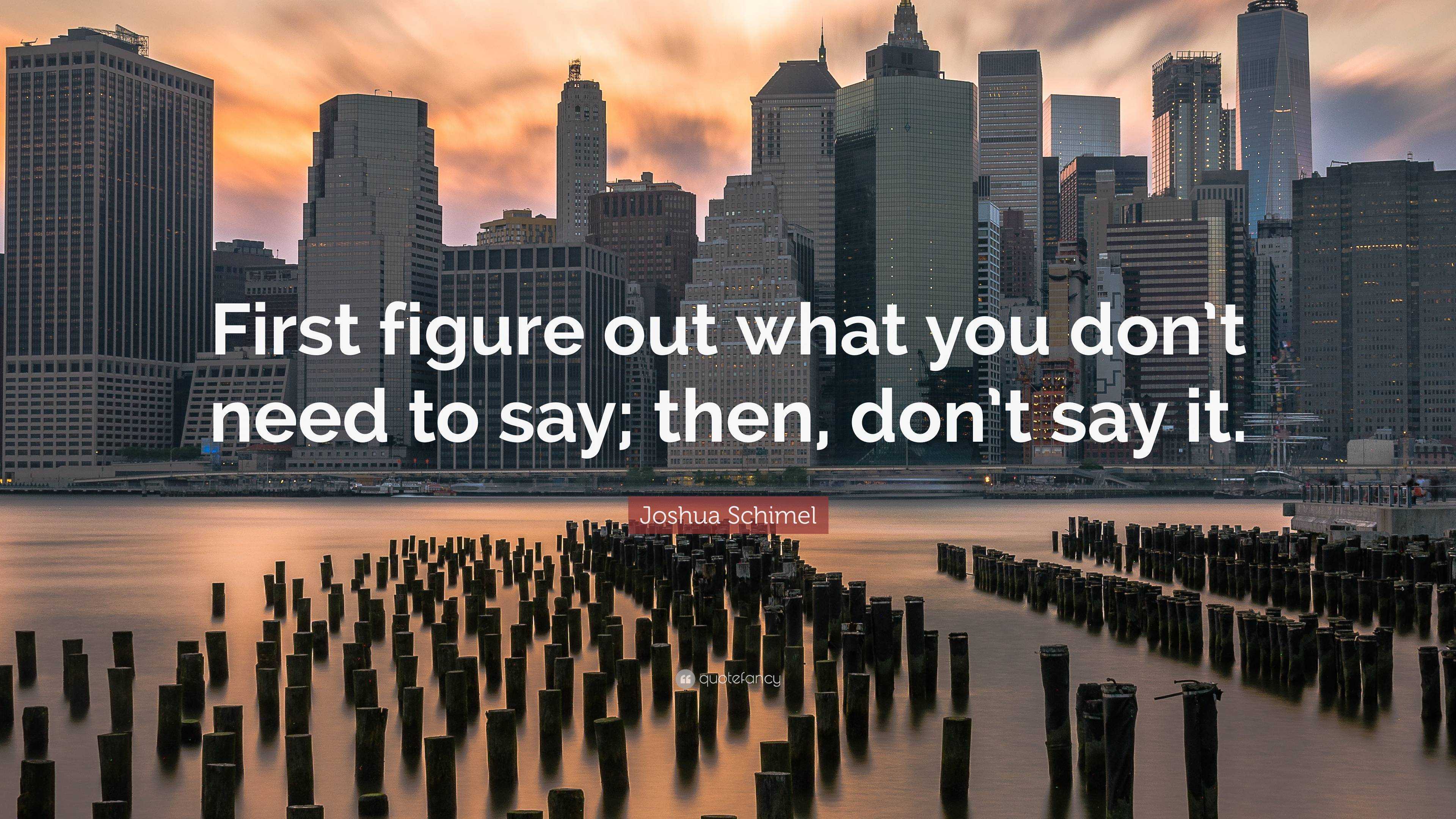 Joshua Schimel Quote: “First figure out what you don't need to say; then,  don't