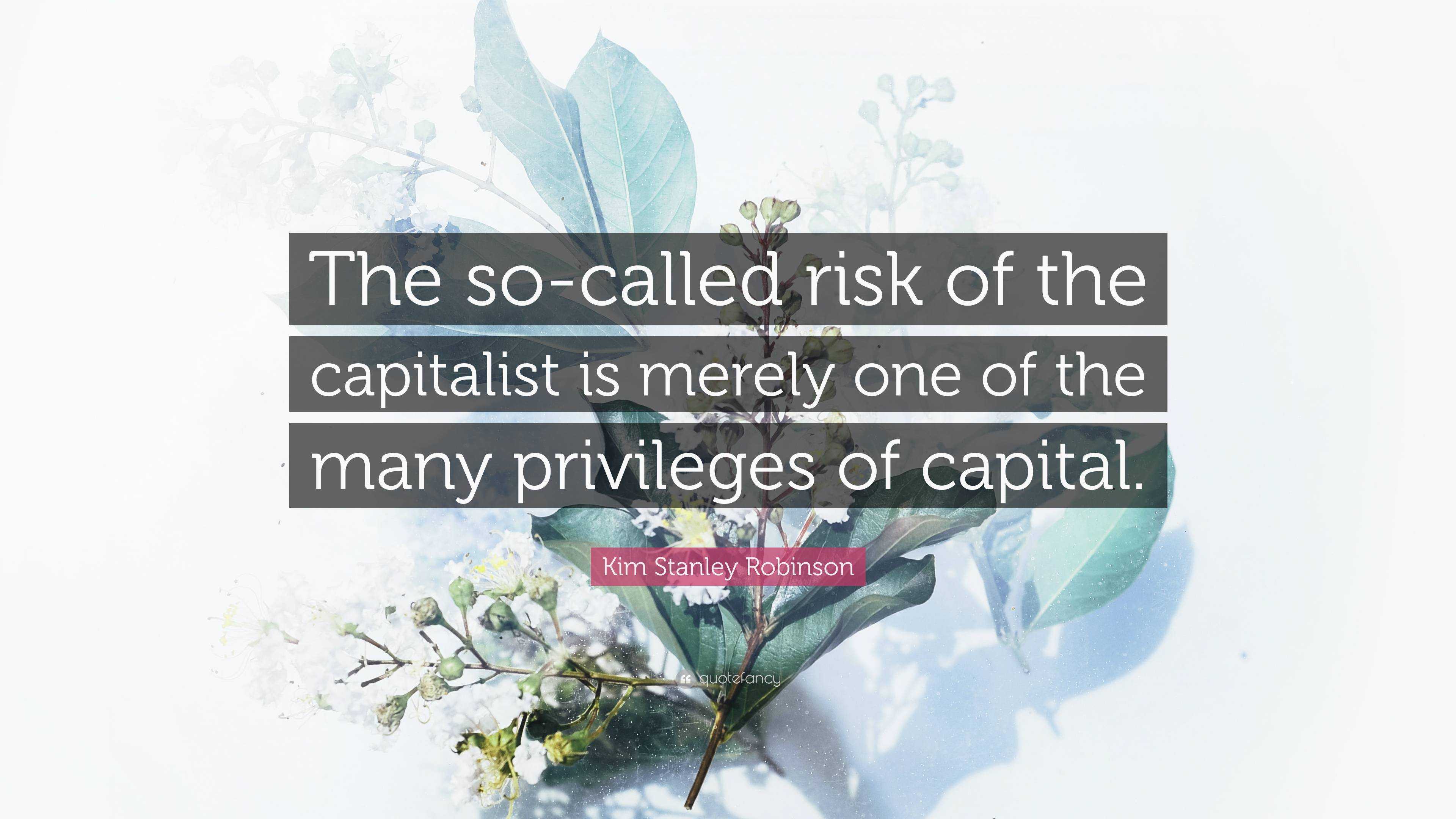 Kim Stanley Robinson Quote “the So Called Risk Of The Capitalist Is Merely One Of The Many 