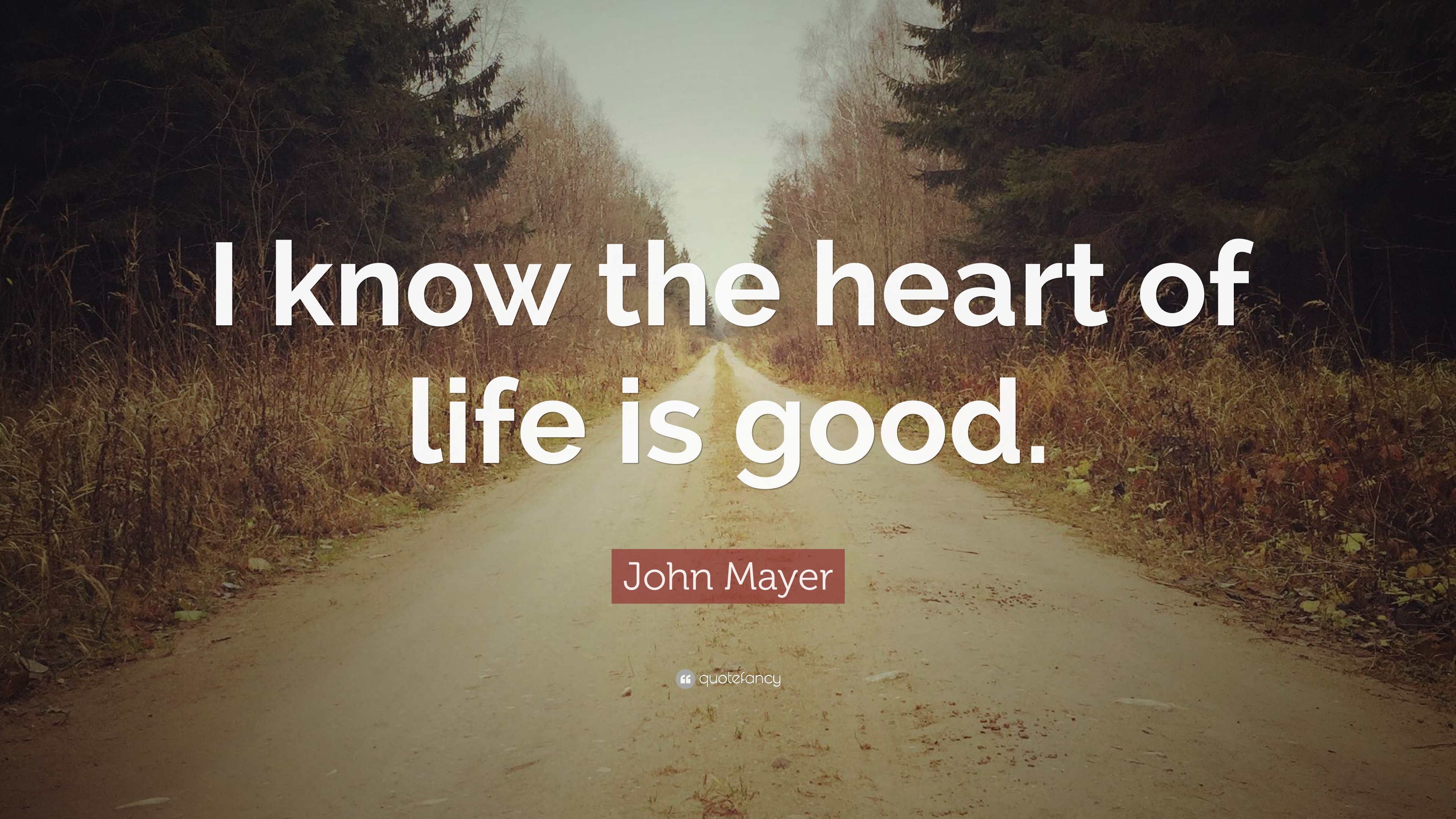 John Mayer Quote “I know the heart of life is good.”