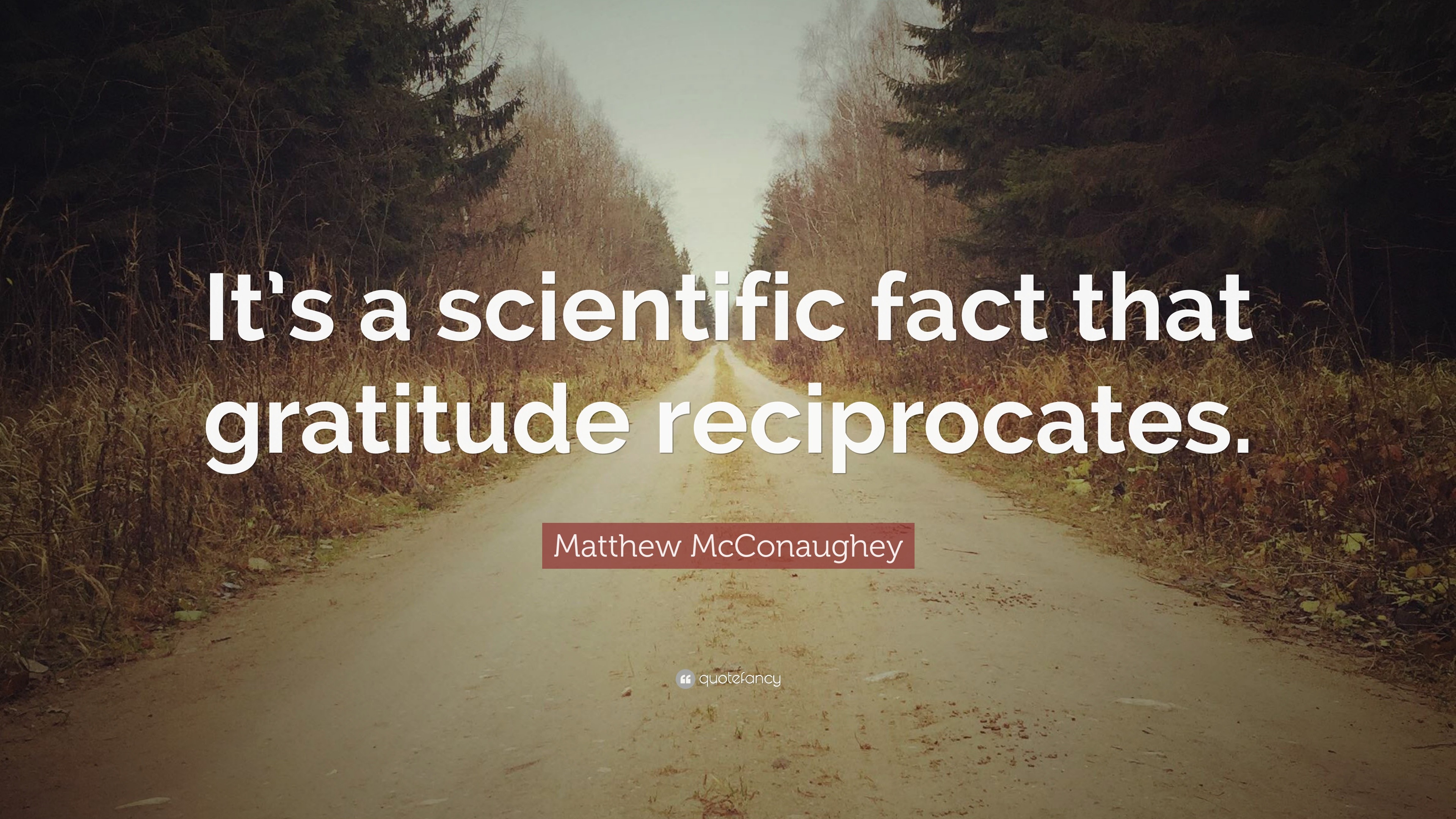 Matthew McConaughey Quote “It’s a scientific fact that gratitude