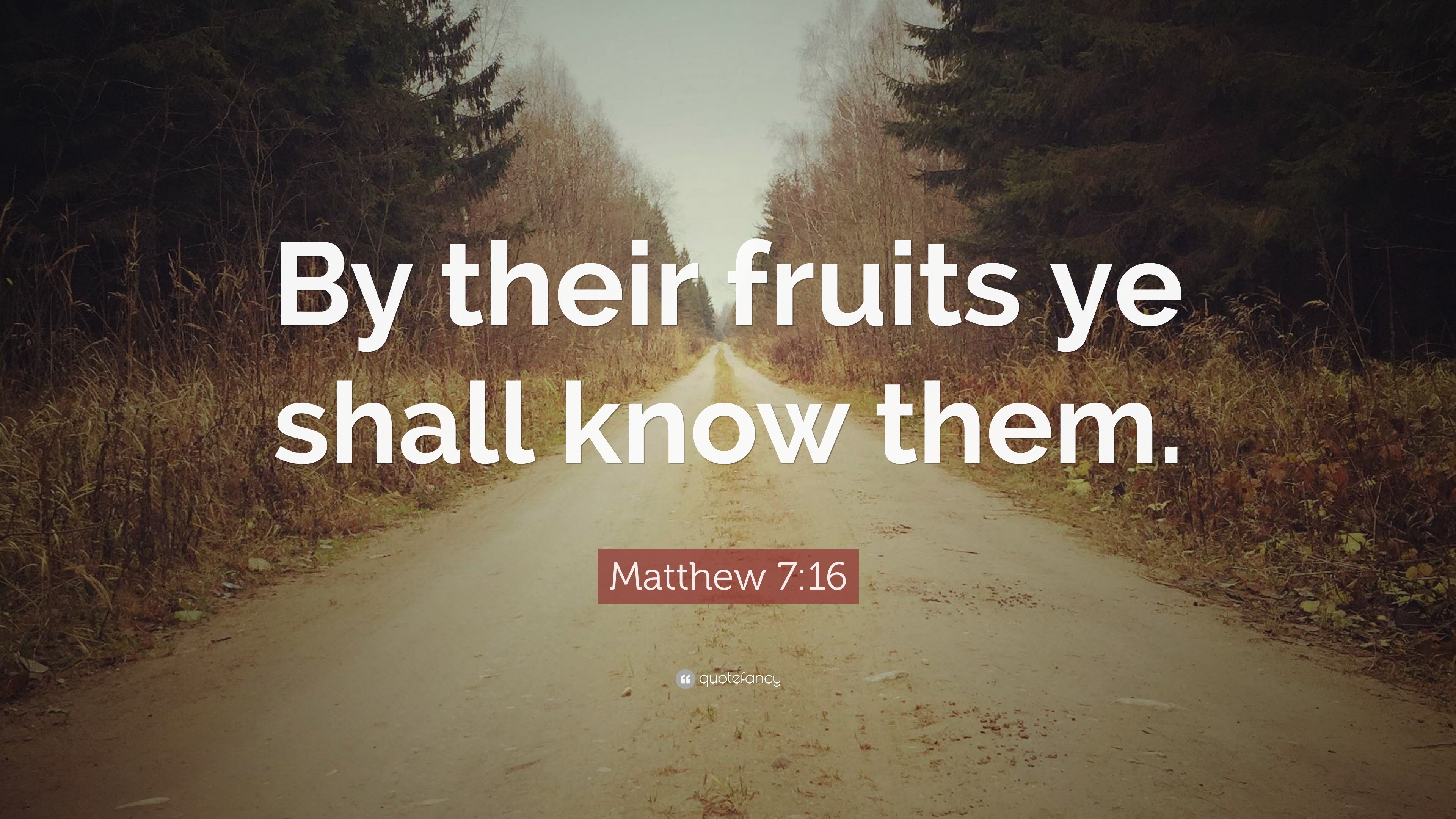 matthew-7-16-quote-by-their-fruits-ye-shall-know-them