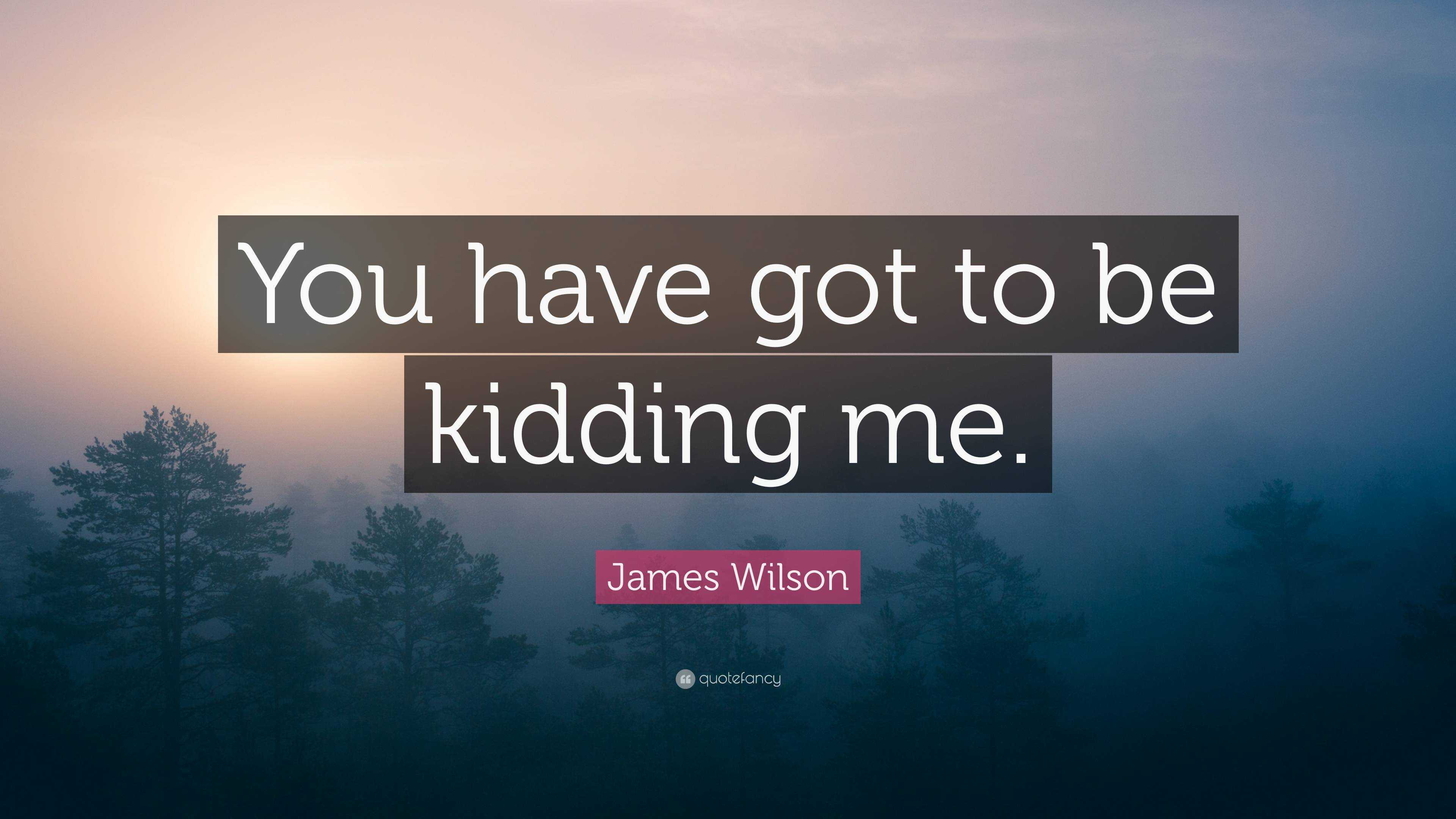 james-wilson-quote-you-have-got-to-be-kidding-me