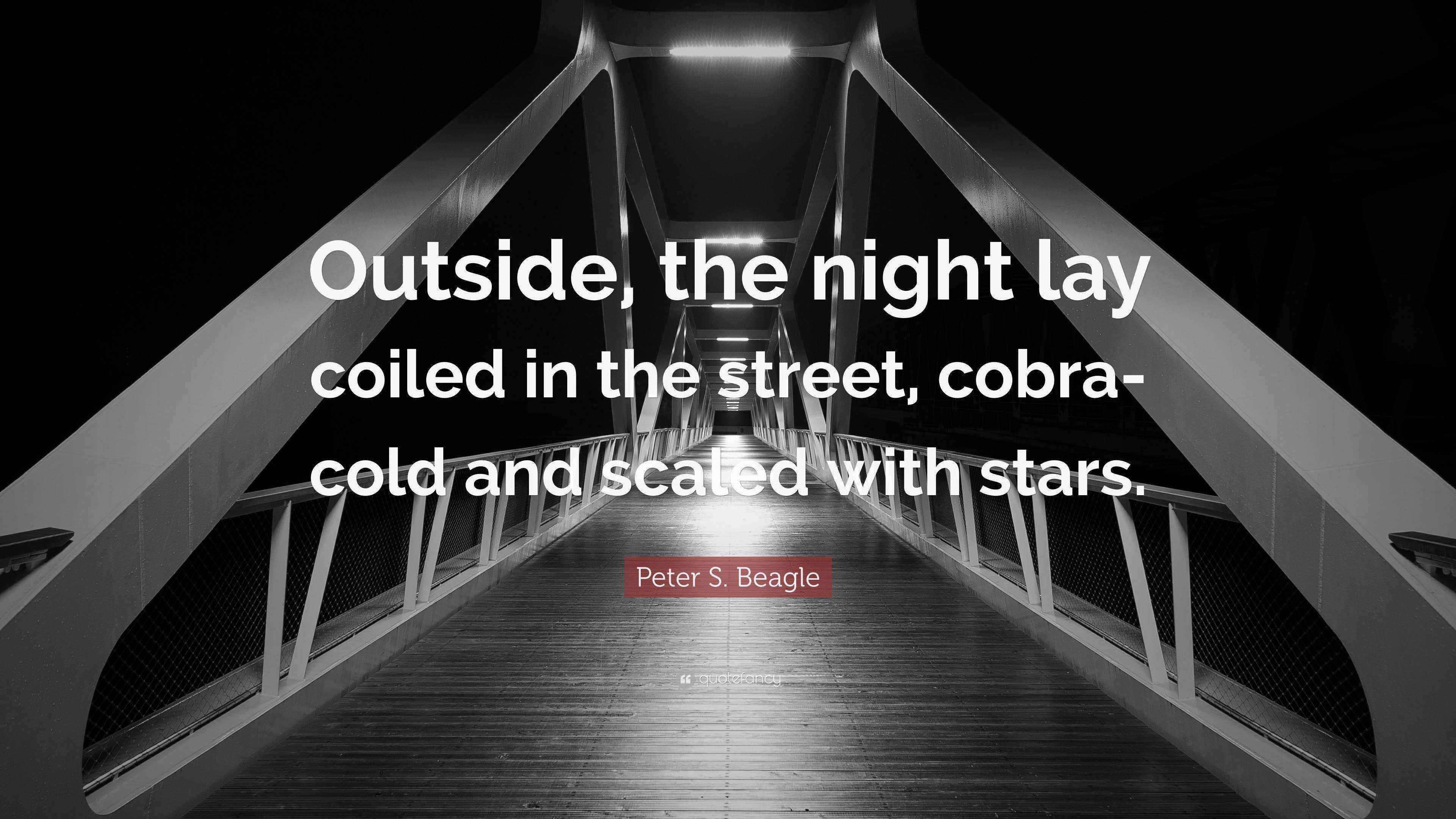 Peter S. Beagle Quote “Outside, the night lay coiled in the street