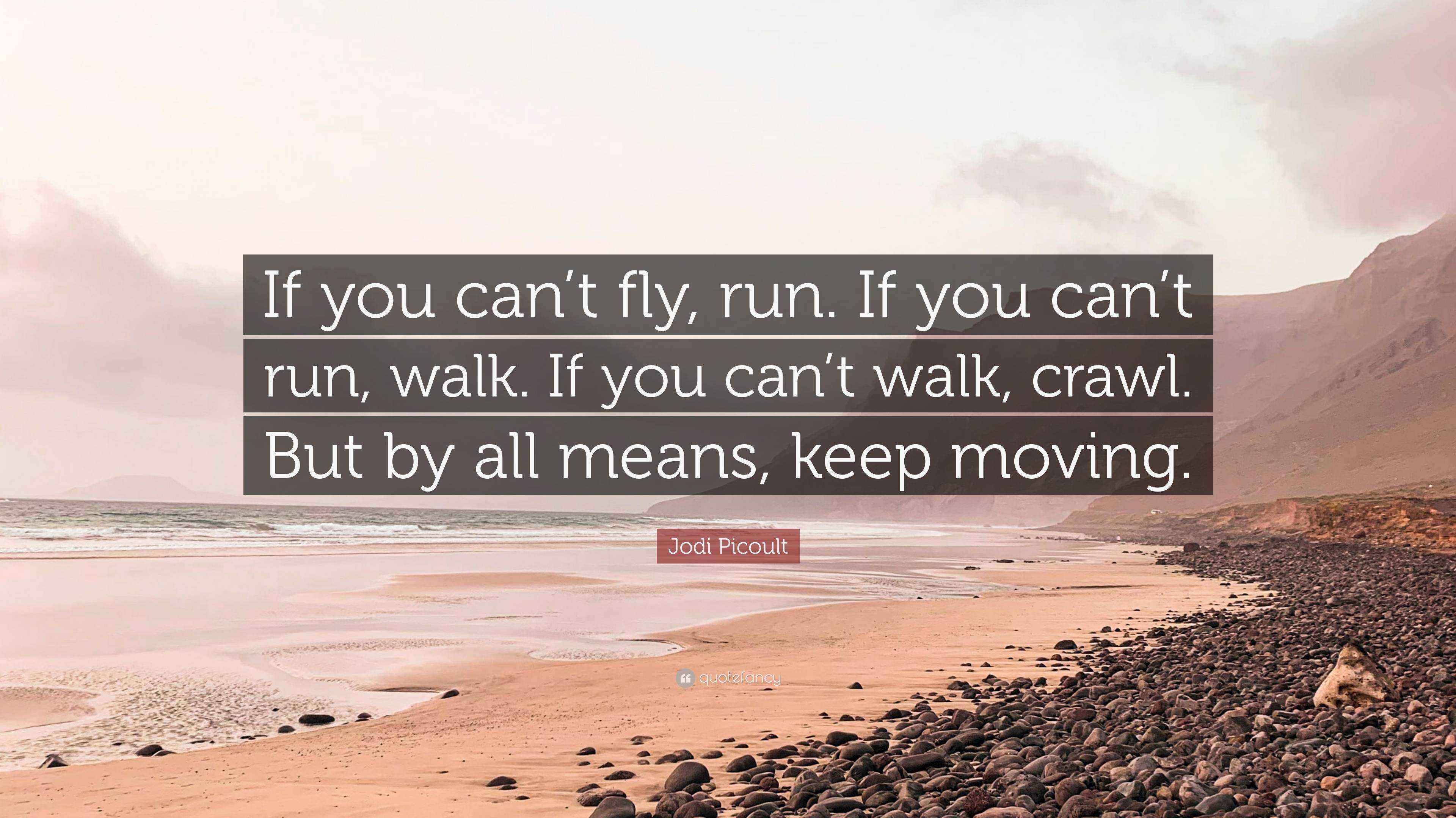 Jodi Picoult Quote “If you can’t fly, run. If you can’t run, walk. If