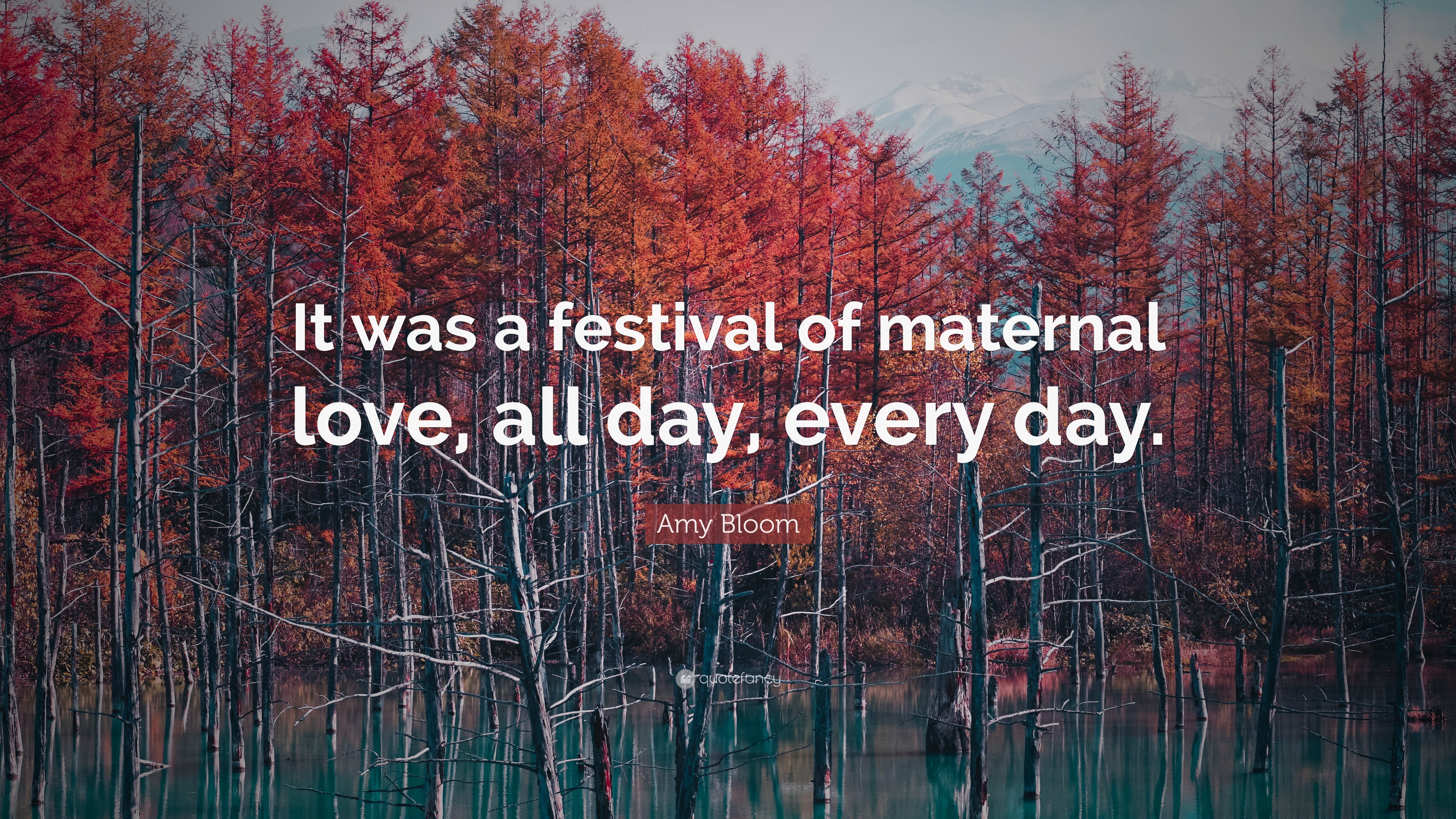 Amy Bloom Quote: “It was a festival of maternal love, all day, every day.”