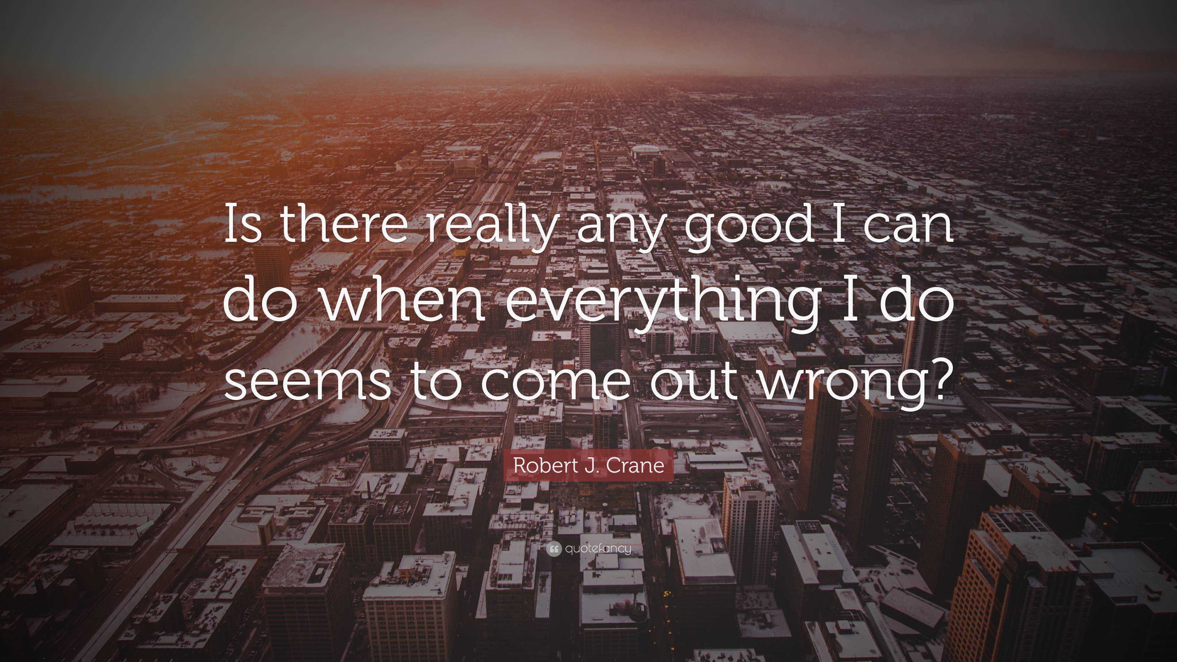 Robert J. Crane Quote: “Is there really any good I can do when ...