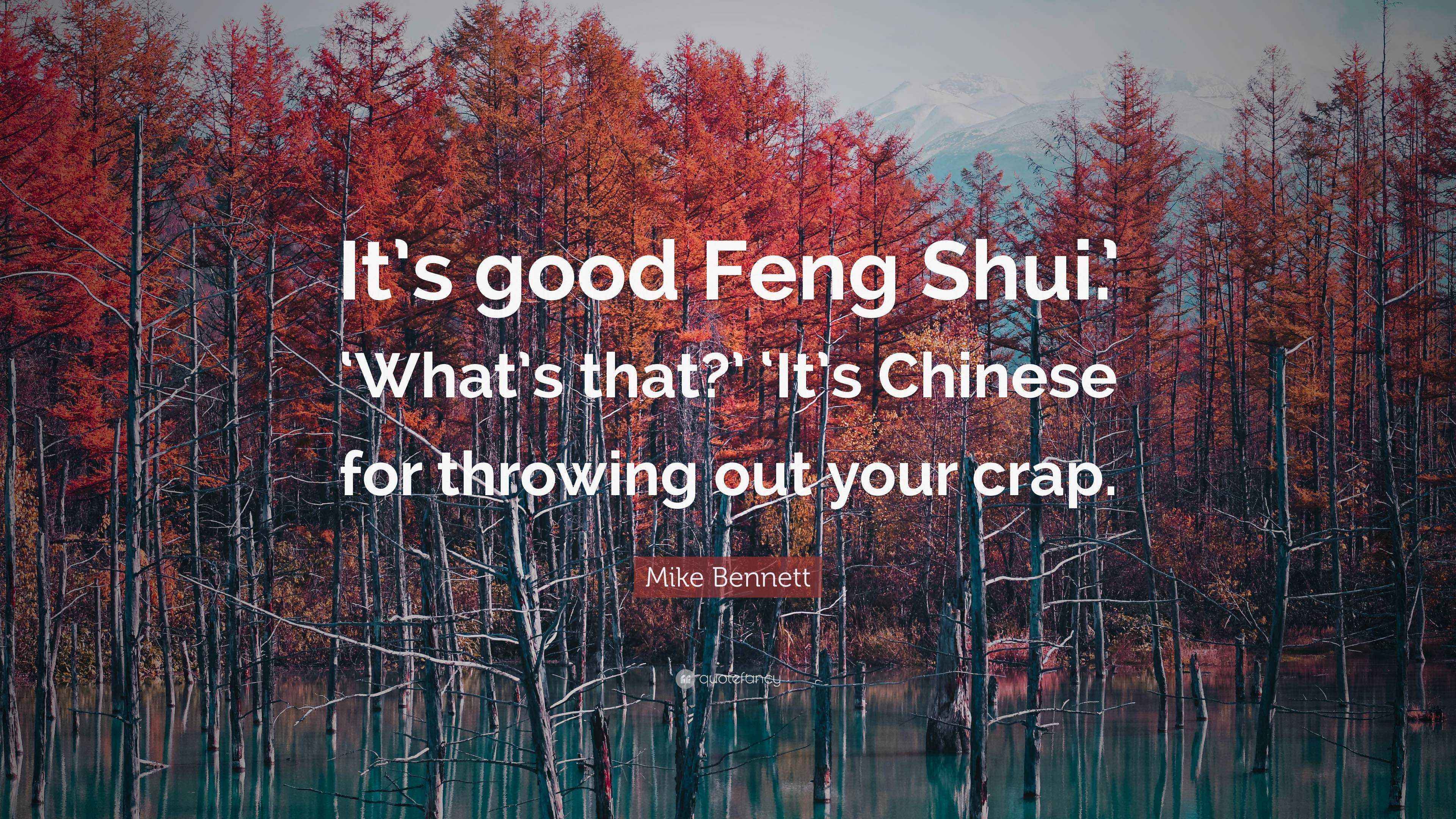 Mike Quote “It’s good Feng Shui.’ ‘What’s that?’ ‘It’s Chinese for throwing out your crap.”