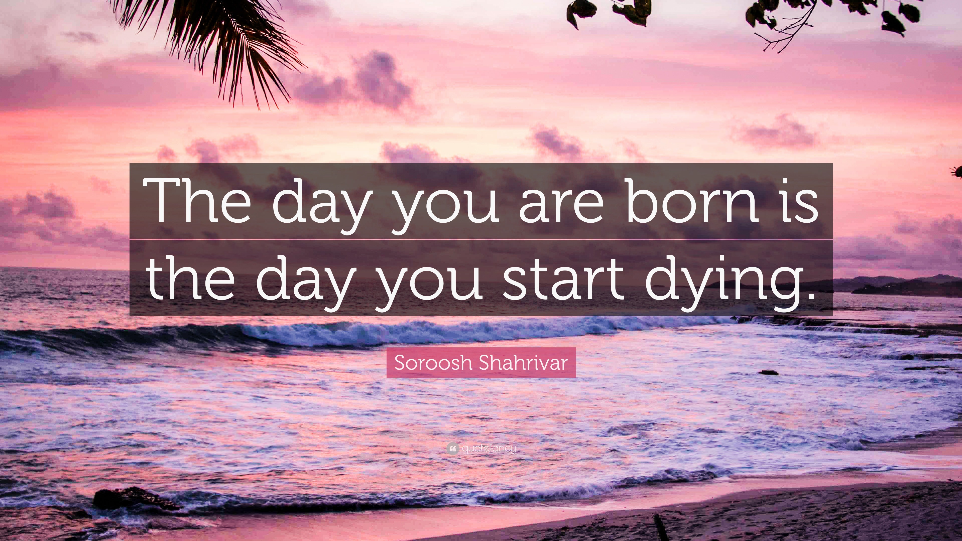 Soroosh Shahrivar Quote: “The day you are born is the day you