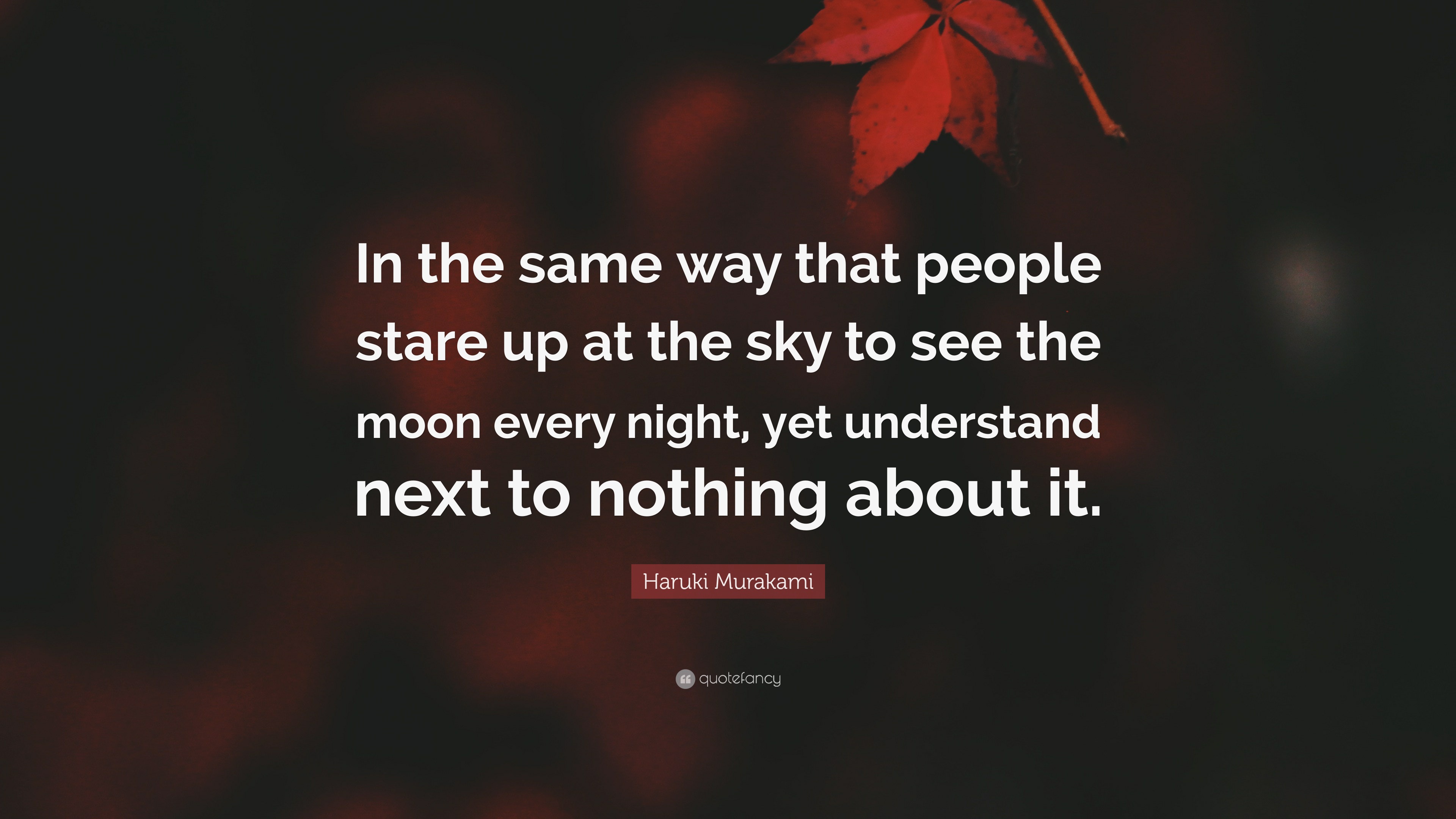 Haruki Murakami Quote: “In the same way that people stare up at the sky ...