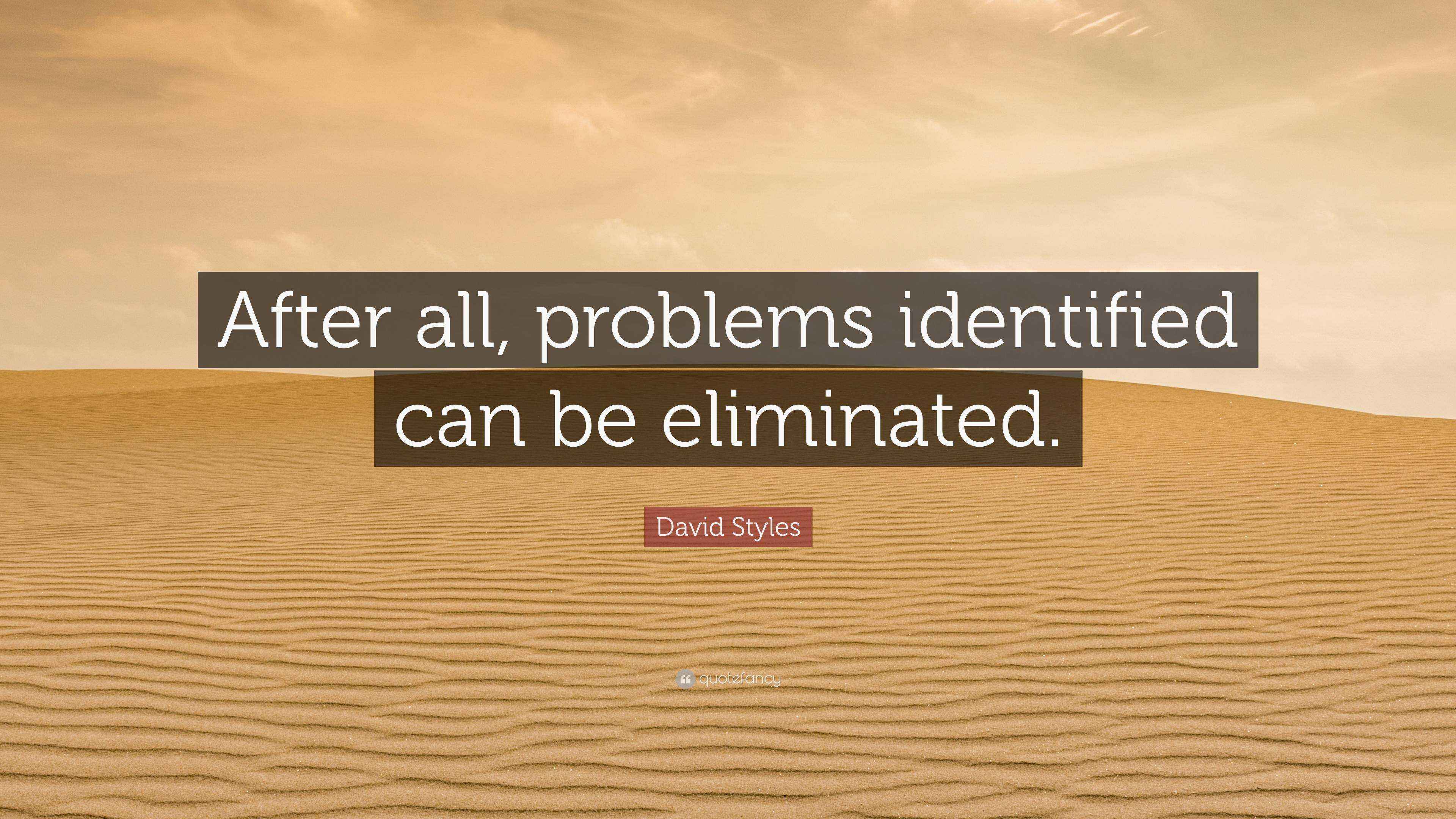 David Styles Quote: “After all, problems identified can be eliminated.”