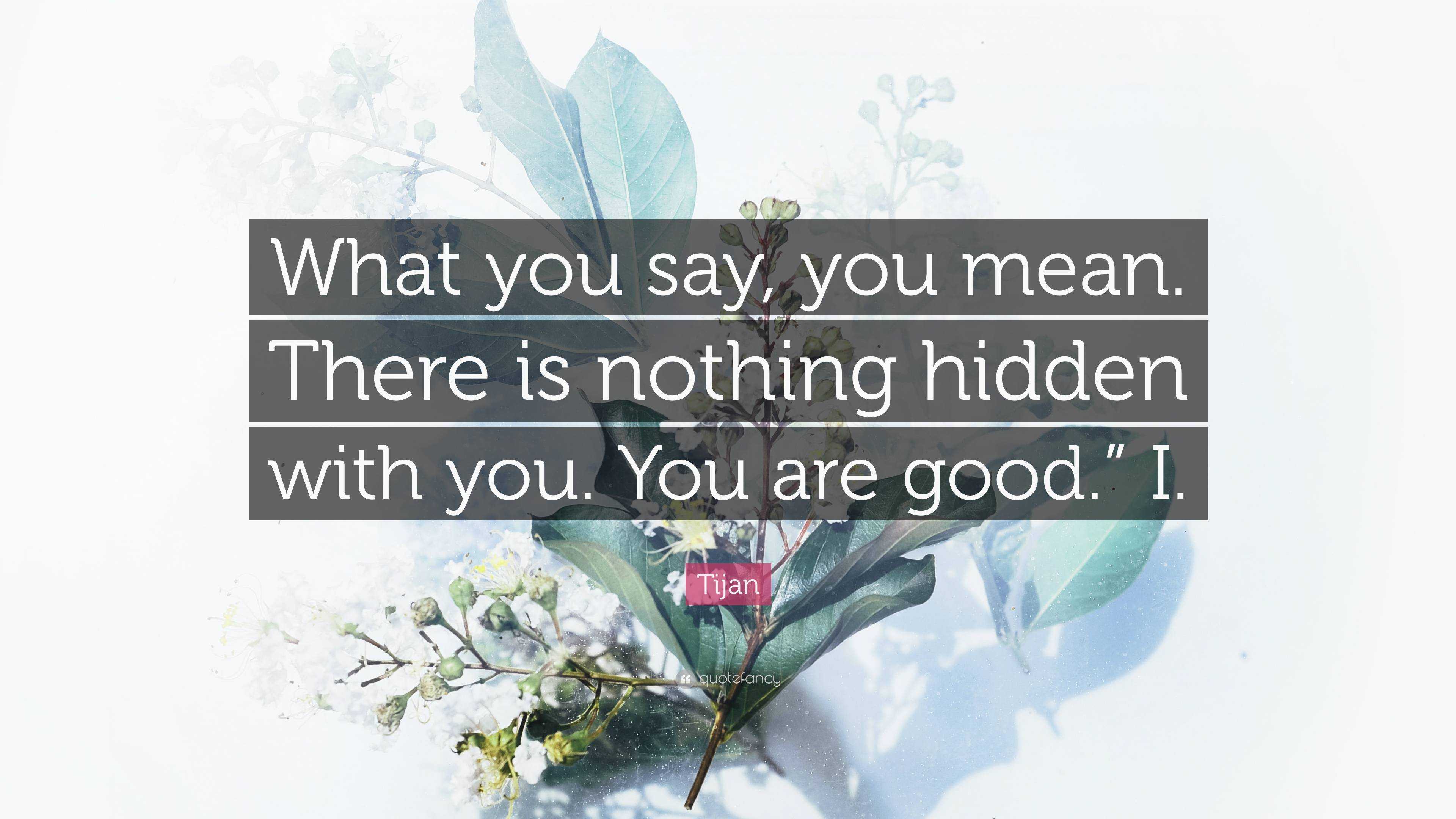 Tijan Quote: “What you say, you mean. There is nothing hidden with you ...
