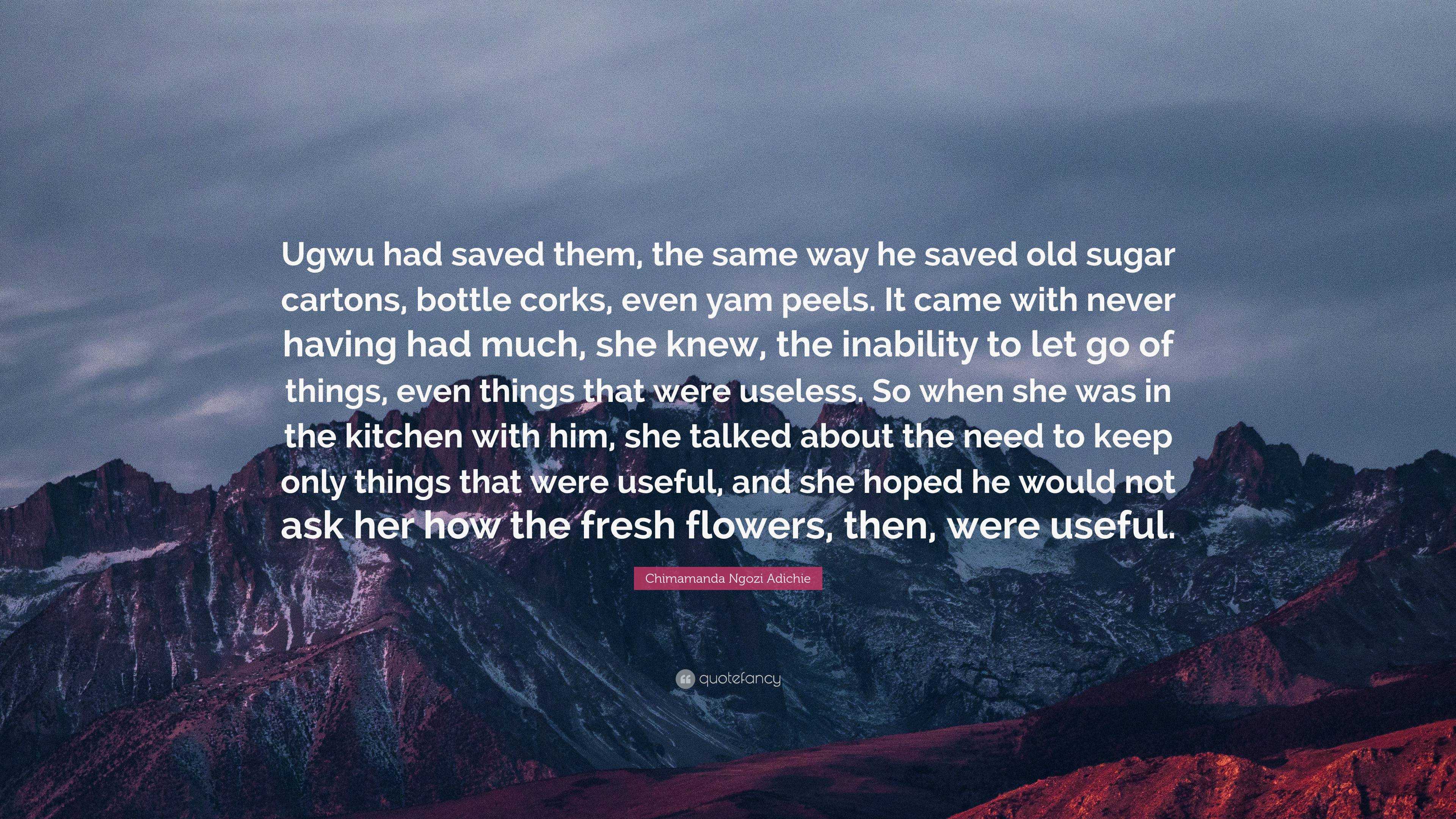 Chimamanda Ngozi Adichie Quote: “Ugwu had saved them, the same way he ...