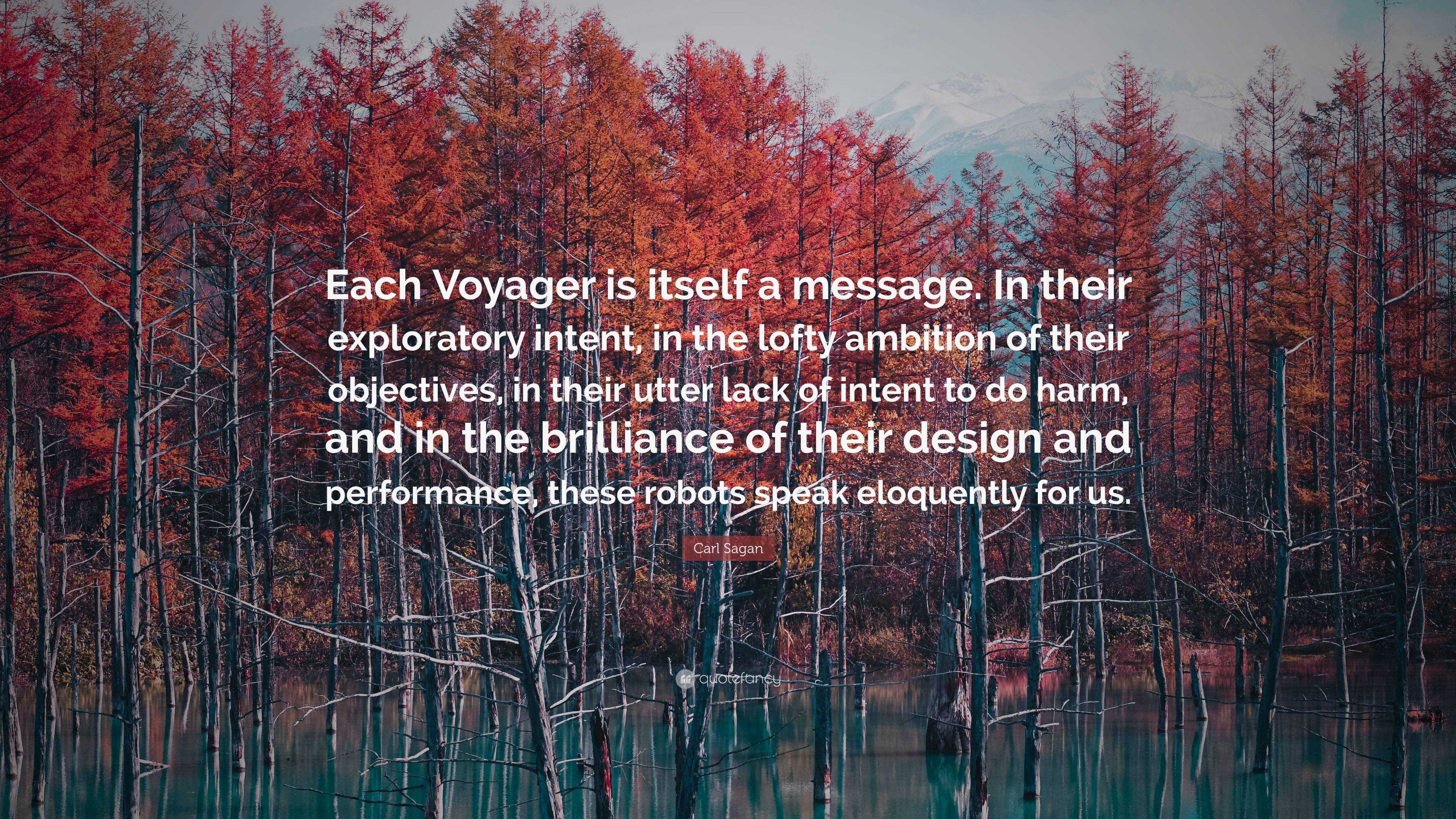 voyager message by carl sagan