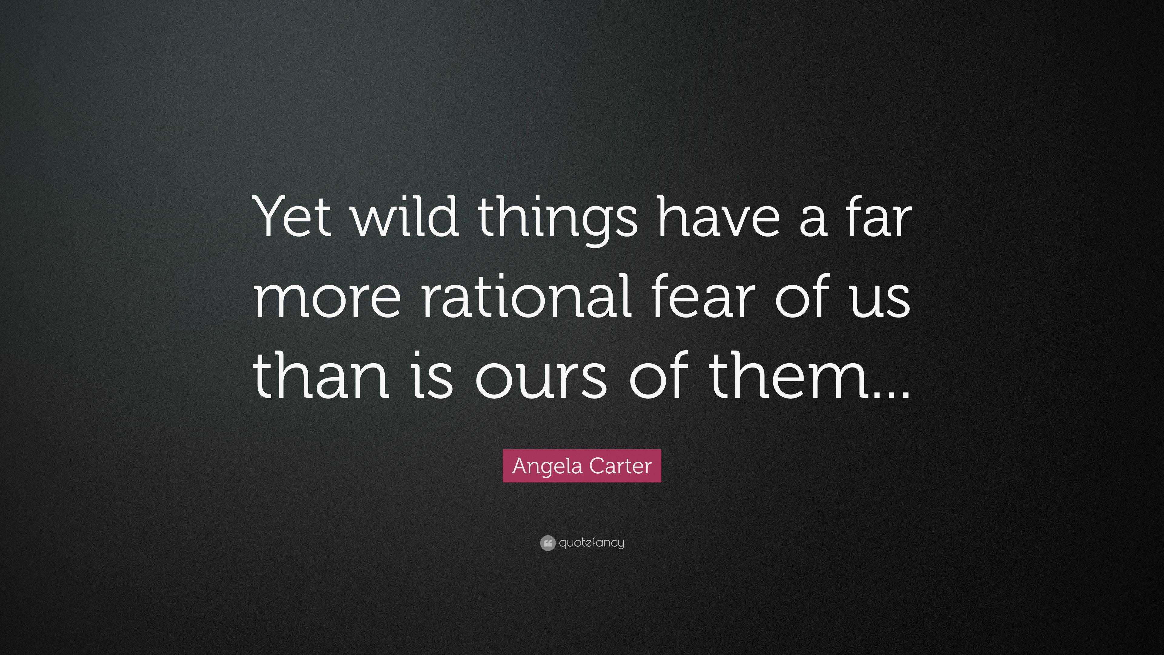 angela-carter-quote-yet-wild-things-have-a-far-more-rational-fear-of