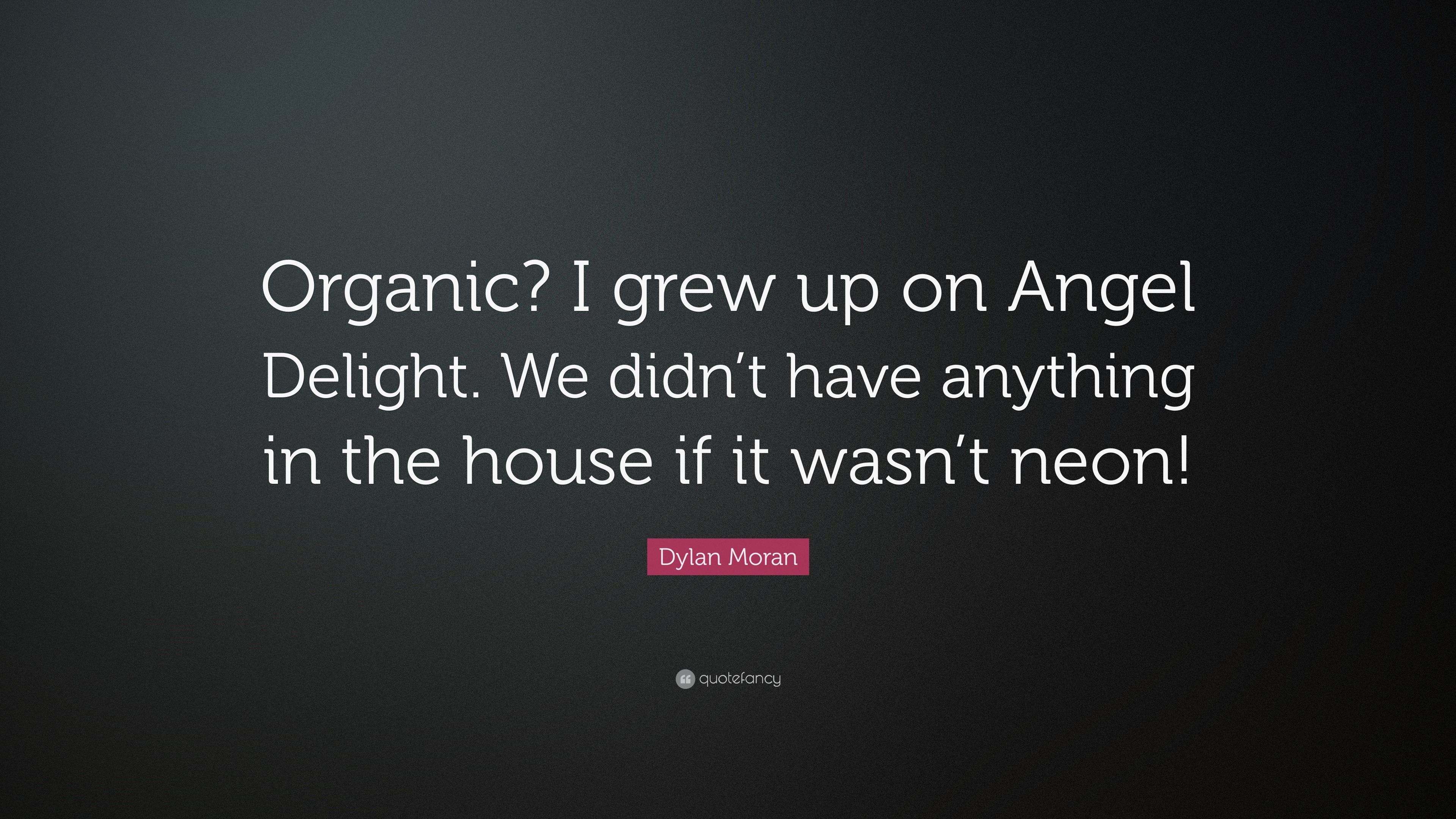 Dylan Moran Quote: “Organic? I grew up on Angel Delight. We didn’t have