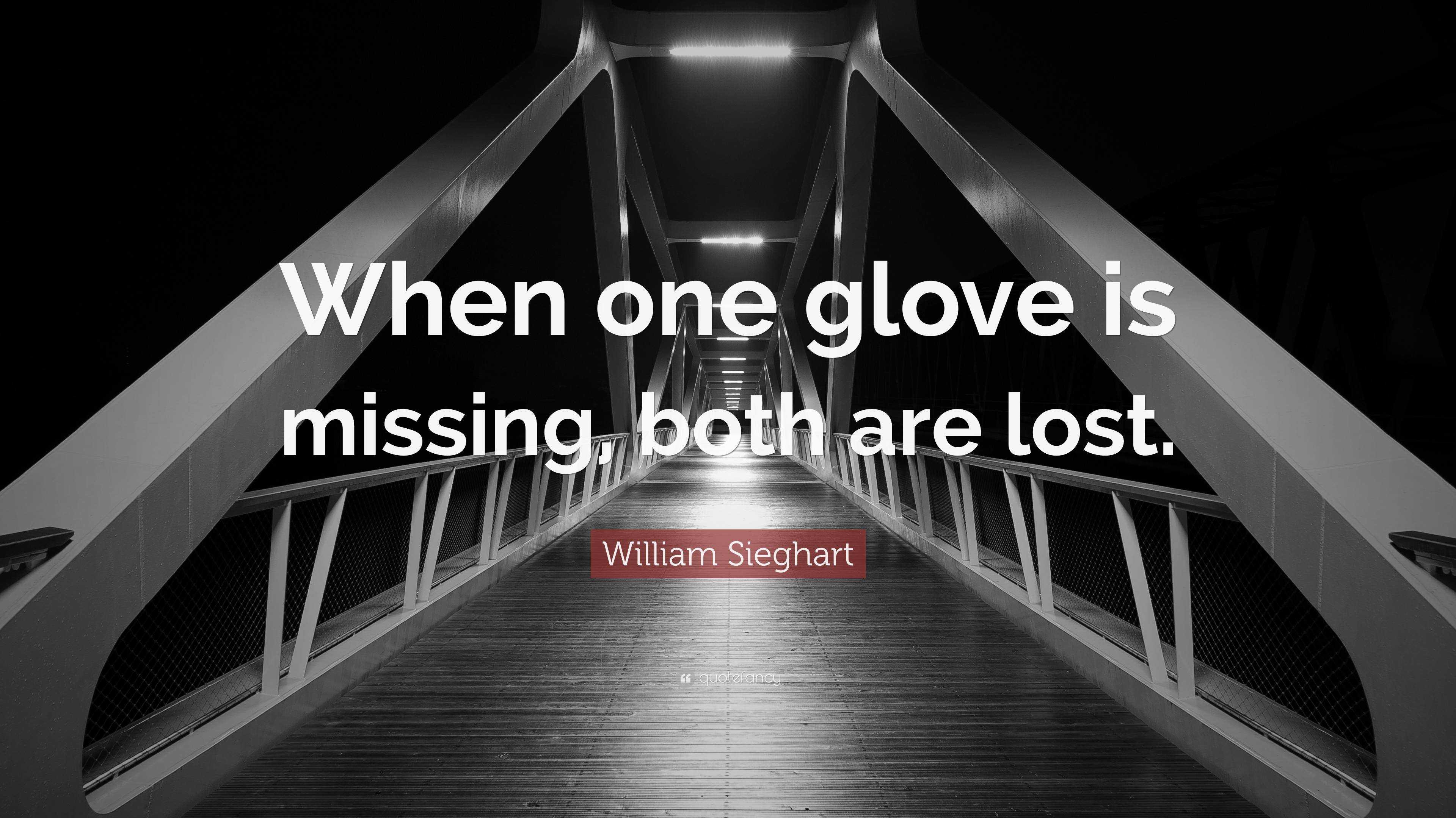 William Sieghart Quote “When one glove is missing, both are lost.”