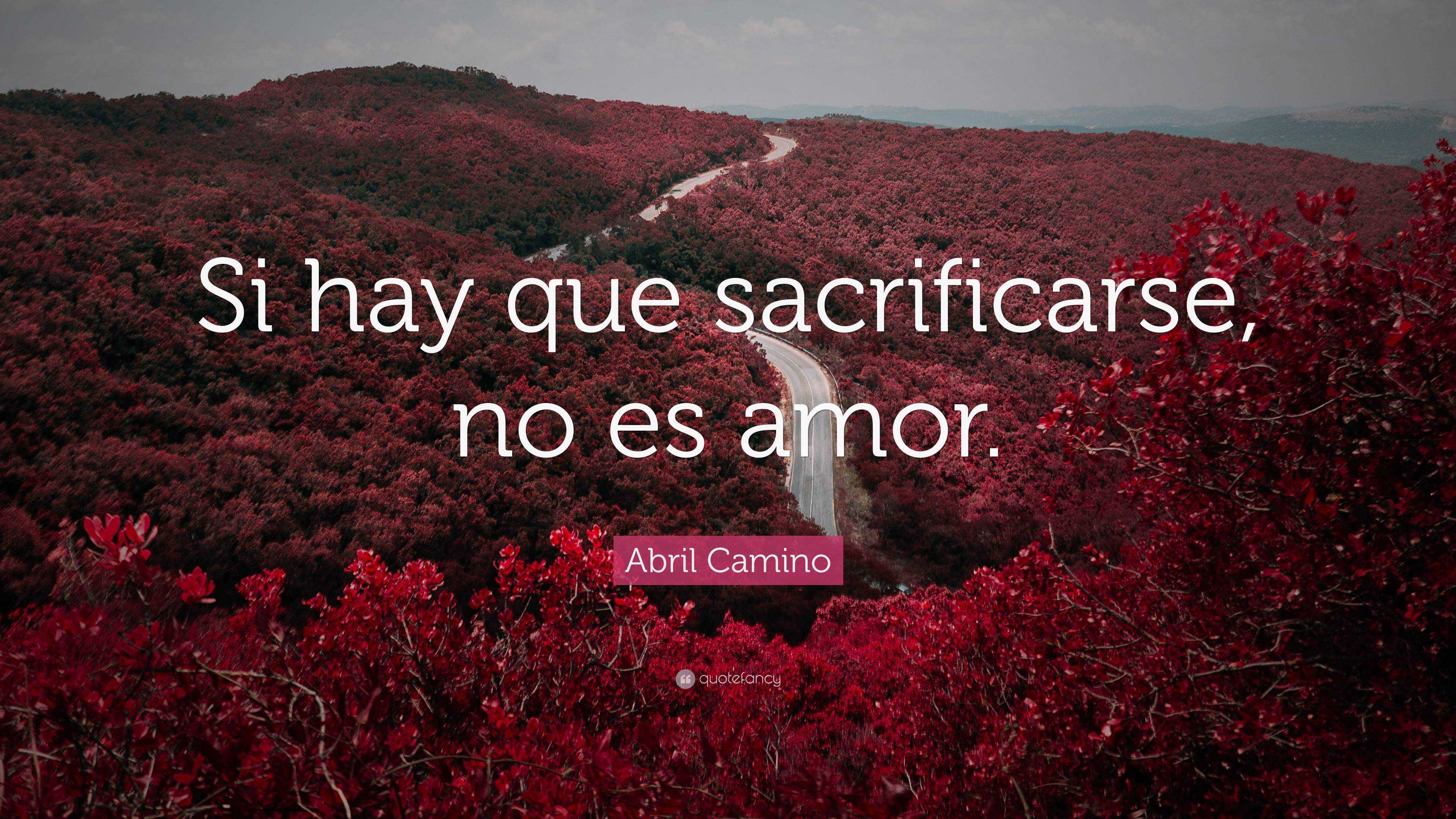 Si no hay amor