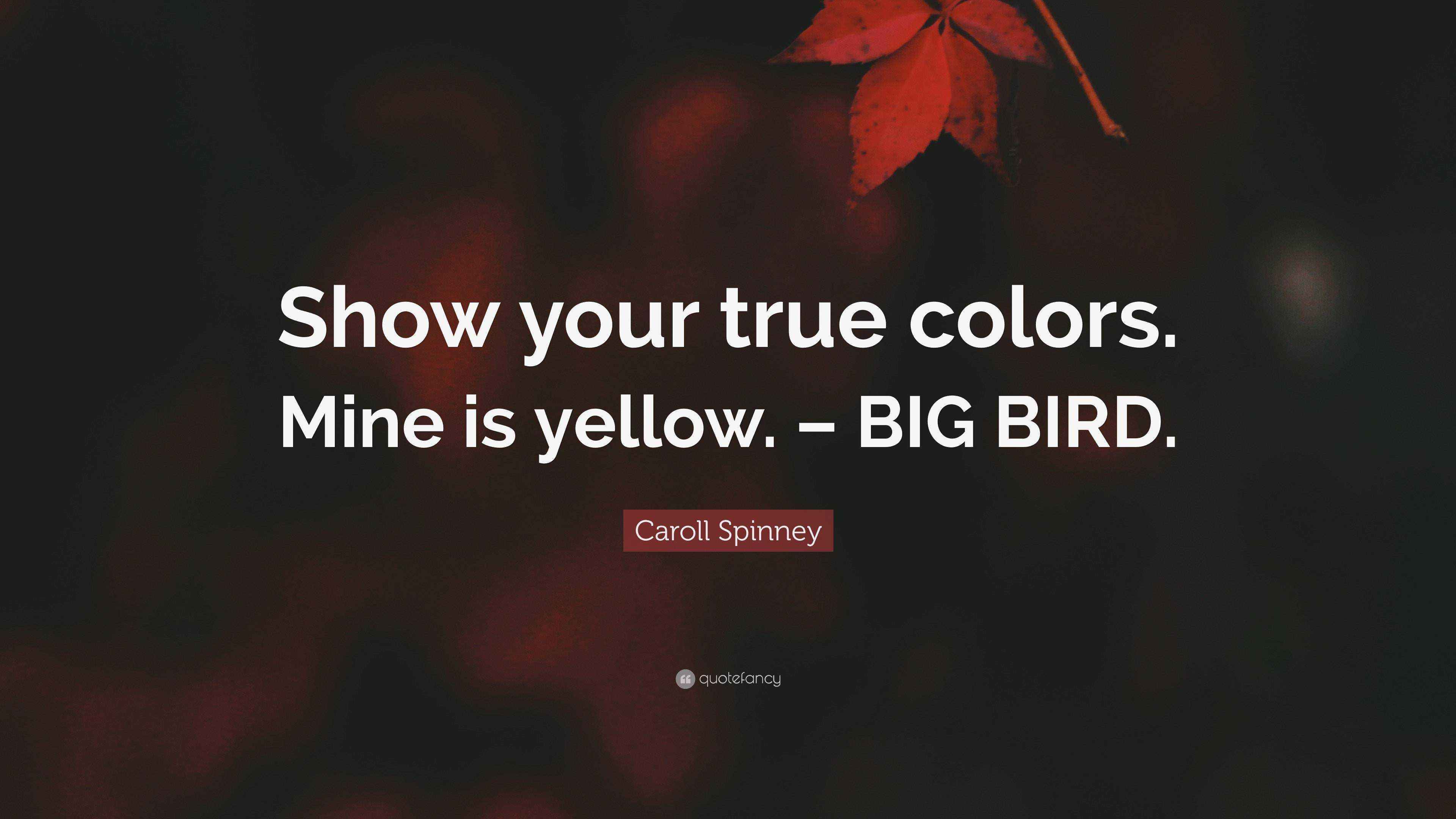 Caroll Spinney Quote: “Show your true colors. Mine is yellow. – BIG BIRD.”